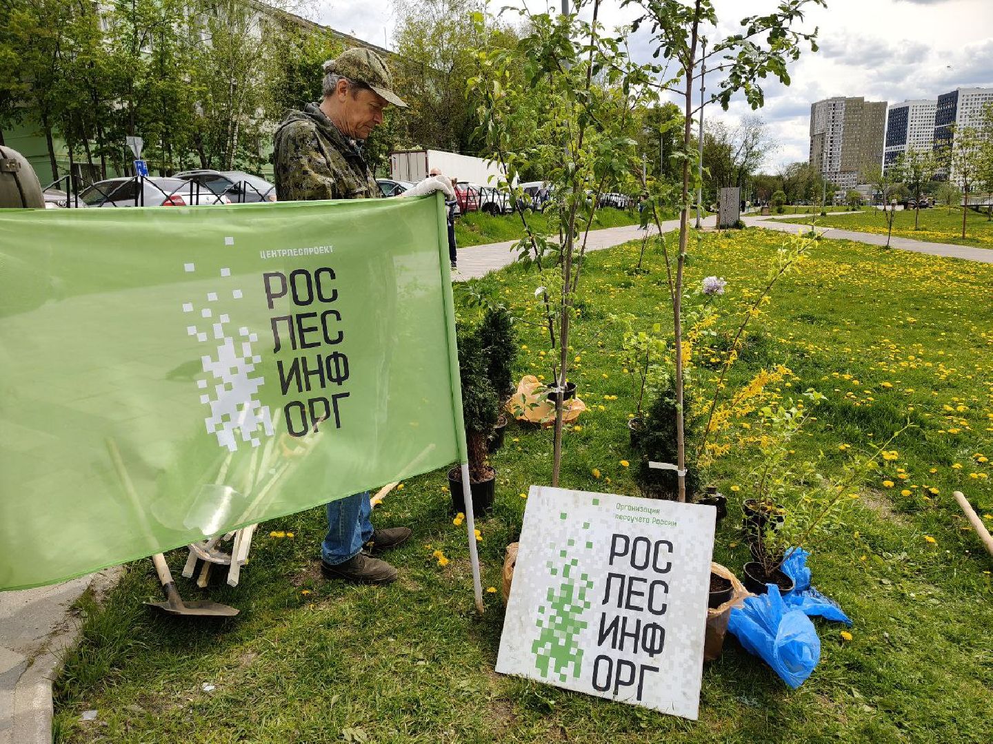 пушкино, сад победы, акция, великая отечественная война, саженцы, берег реки, жители, сотрудники,деревья, высадка деревьев,