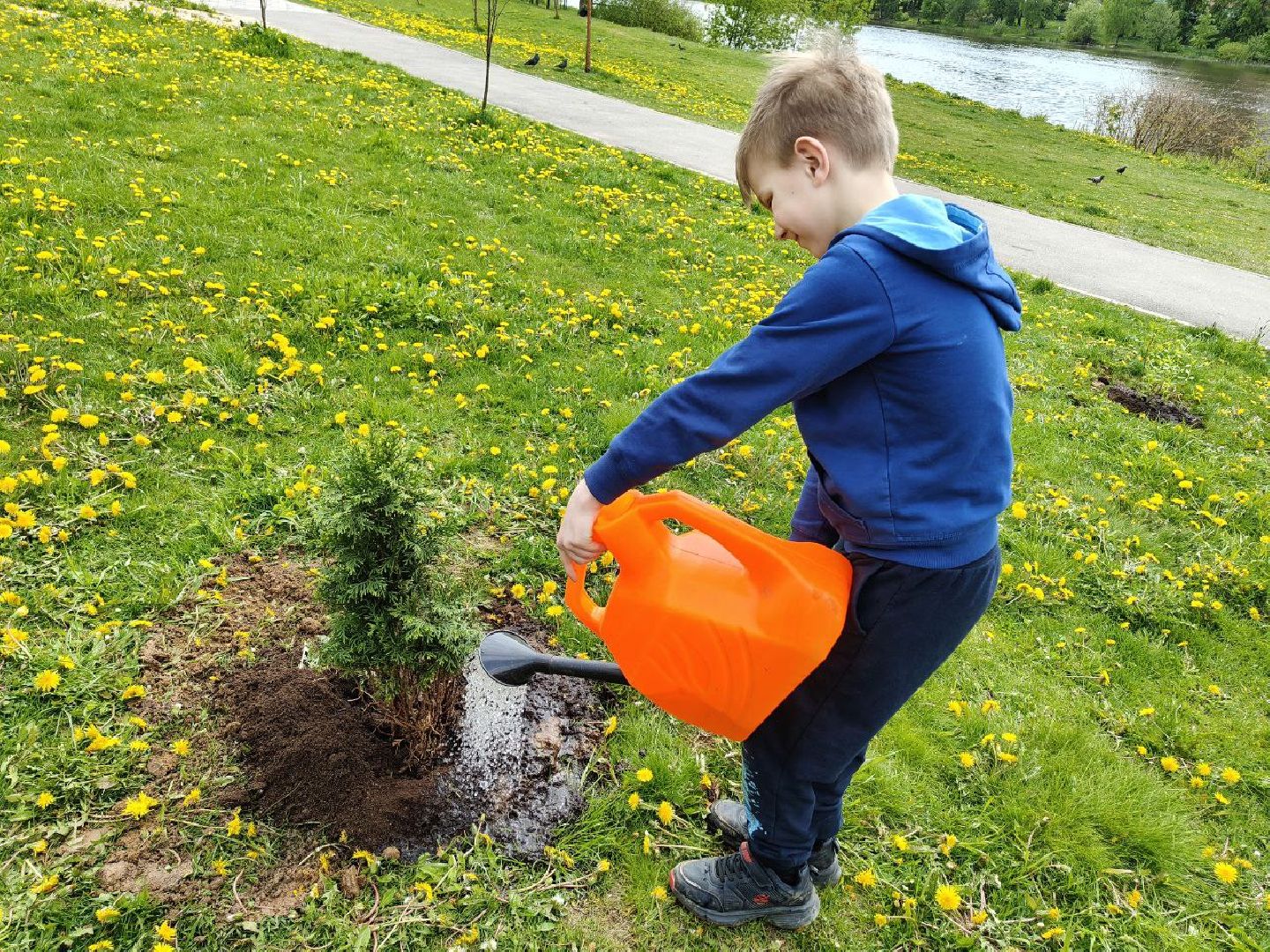 пушкино, сад победы, акция, великая отечественная война, саженцы, берег реки, жители, сотрудники,деревья, высадка деревьев,