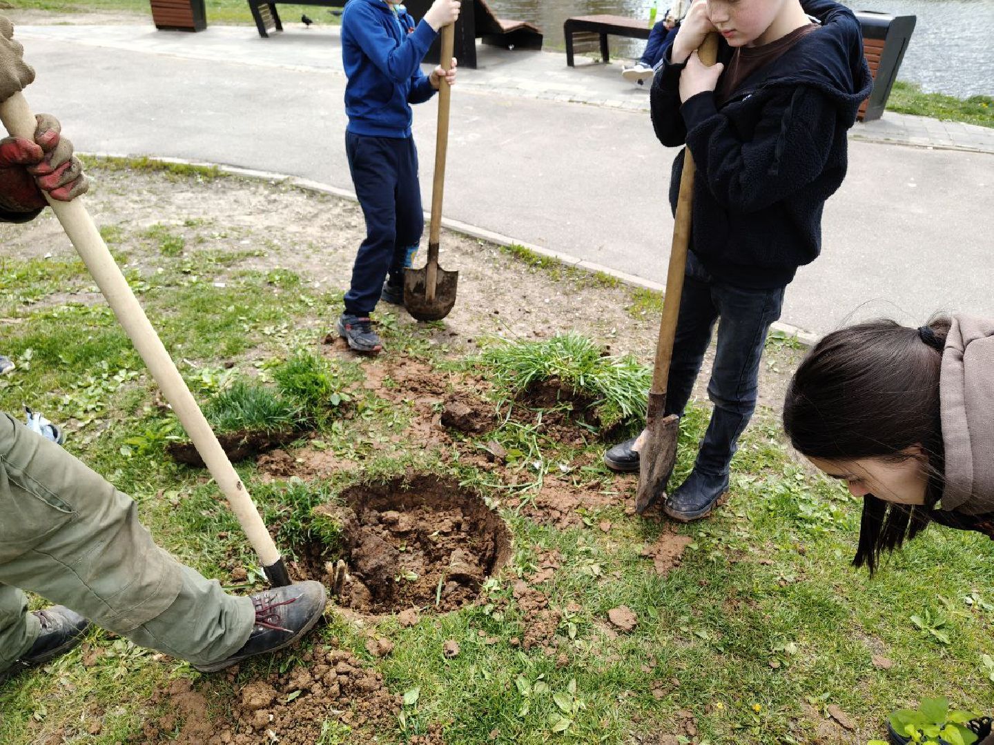 пушкино, сад победы, акция, великая отечественная война, саженцы, берег реки, жители, сотрудники,деревья, высадка деревьев,