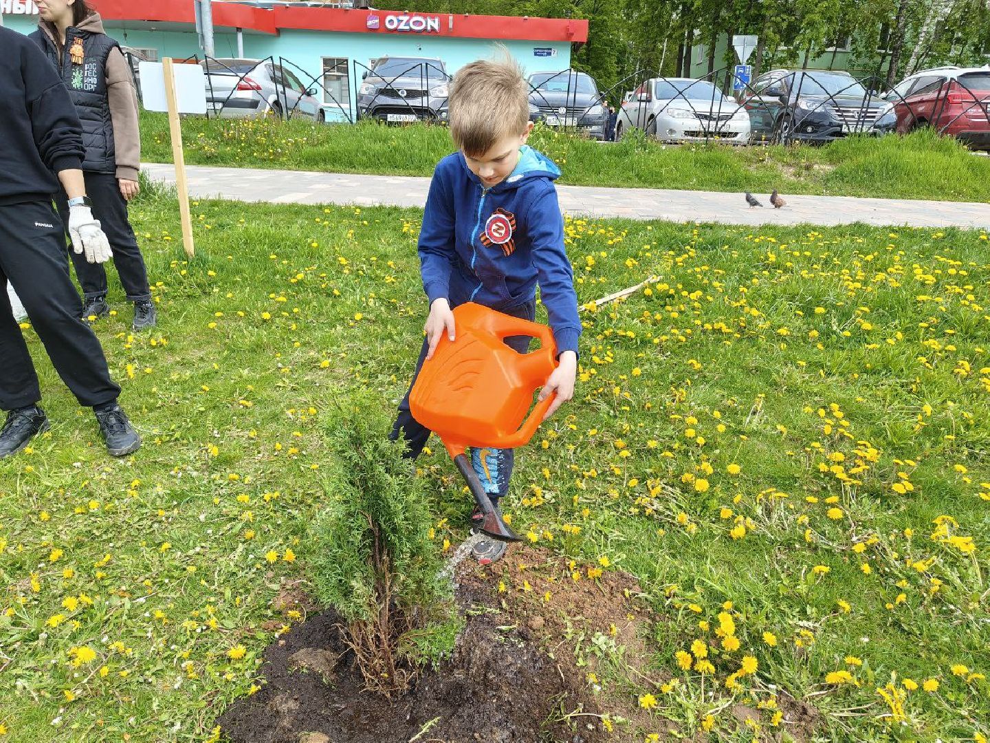 пушкино, сад победы, акция, великая отечественная война, саженцы, берег реки, жители, сотрудники,деревья, высадка деревьев,