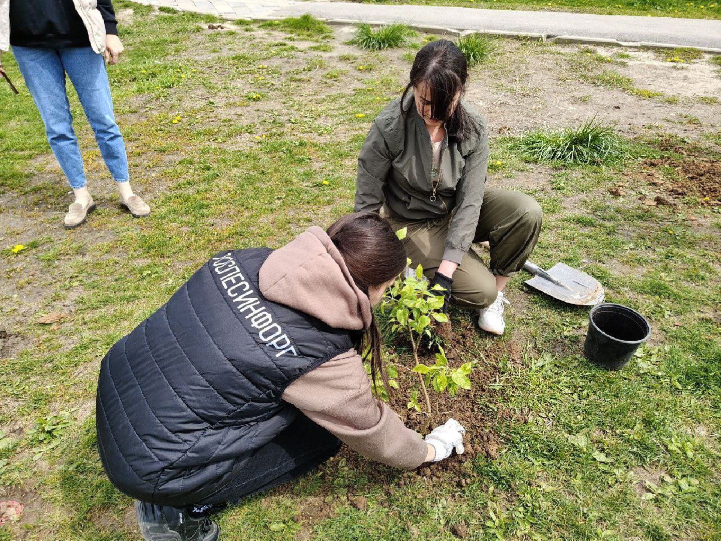 пушкино, сад победы, акция, великая отечественная война, саженцы, берег реки, жители, сотрудники,деревья, высадка деревьев,
