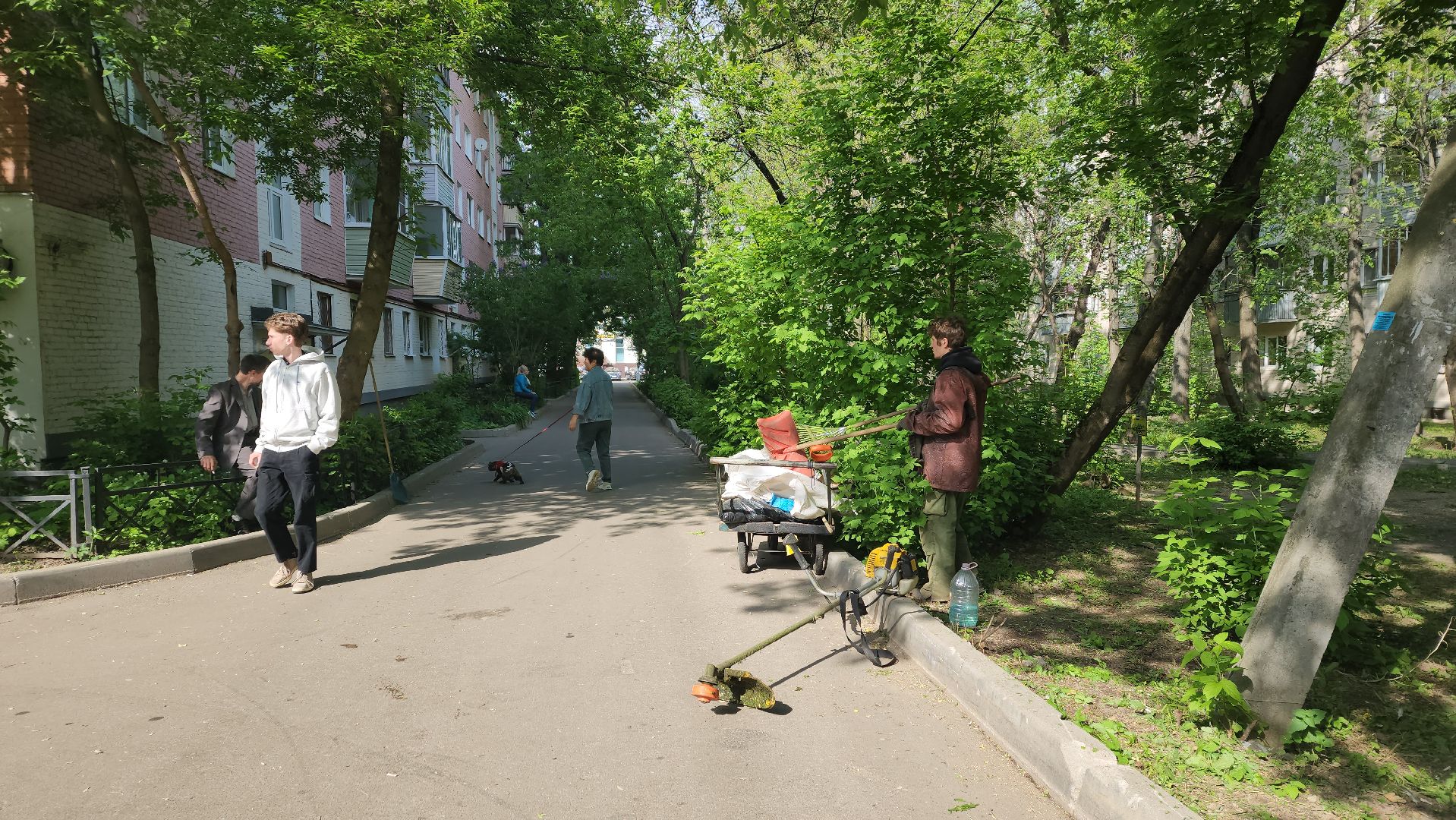 пушкино, покос травы, коммунальная служба, дворовые территории, газон, уборка мусора,