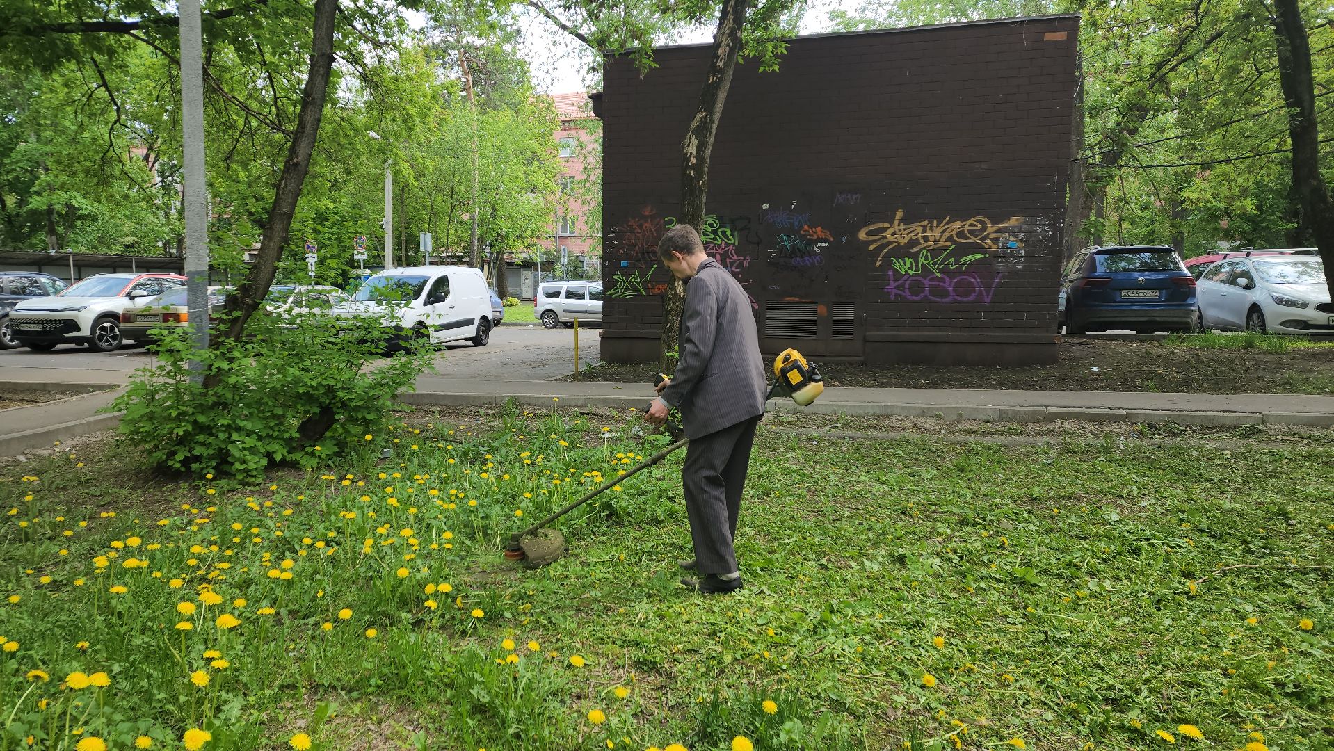 пушкино, покос травы, коммунальная служба, дворовые территории, газон, уборка мусора,