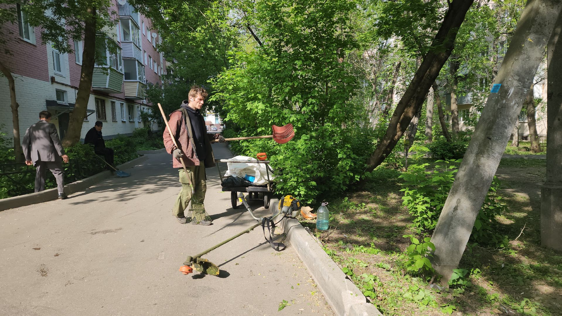 пушкино, покос травы, коммунальная служба, дворовые территории, газон, уборка мусора,