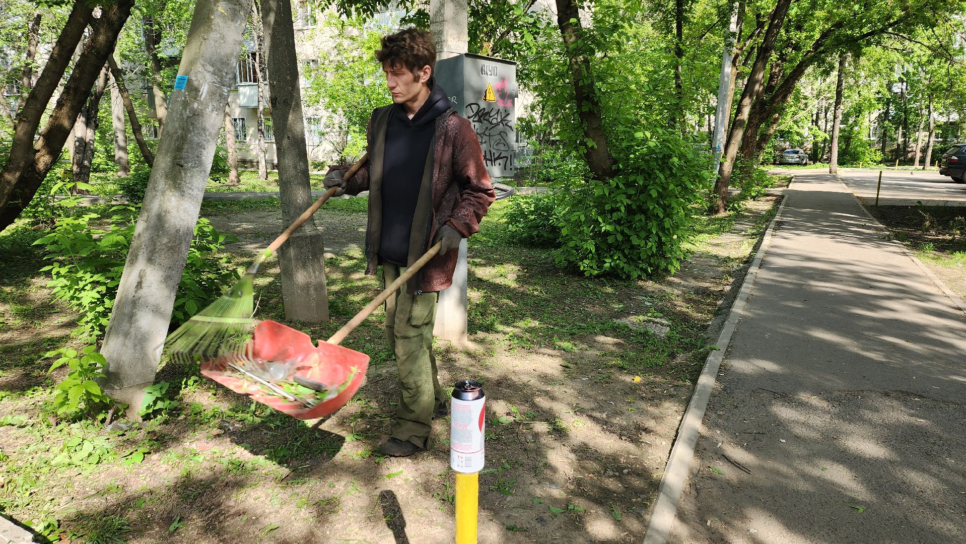 пушкино, покос травы, коммунальная служба, дворовые территории, газон, уборка мусора,