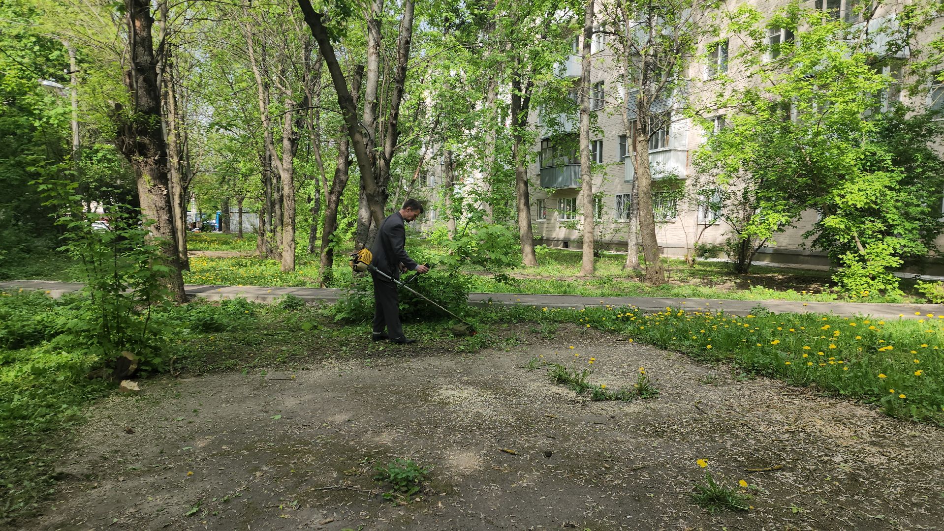 пушкино, покос травы, коммунальная служба, дворовые территории, газон, уборка мусора,