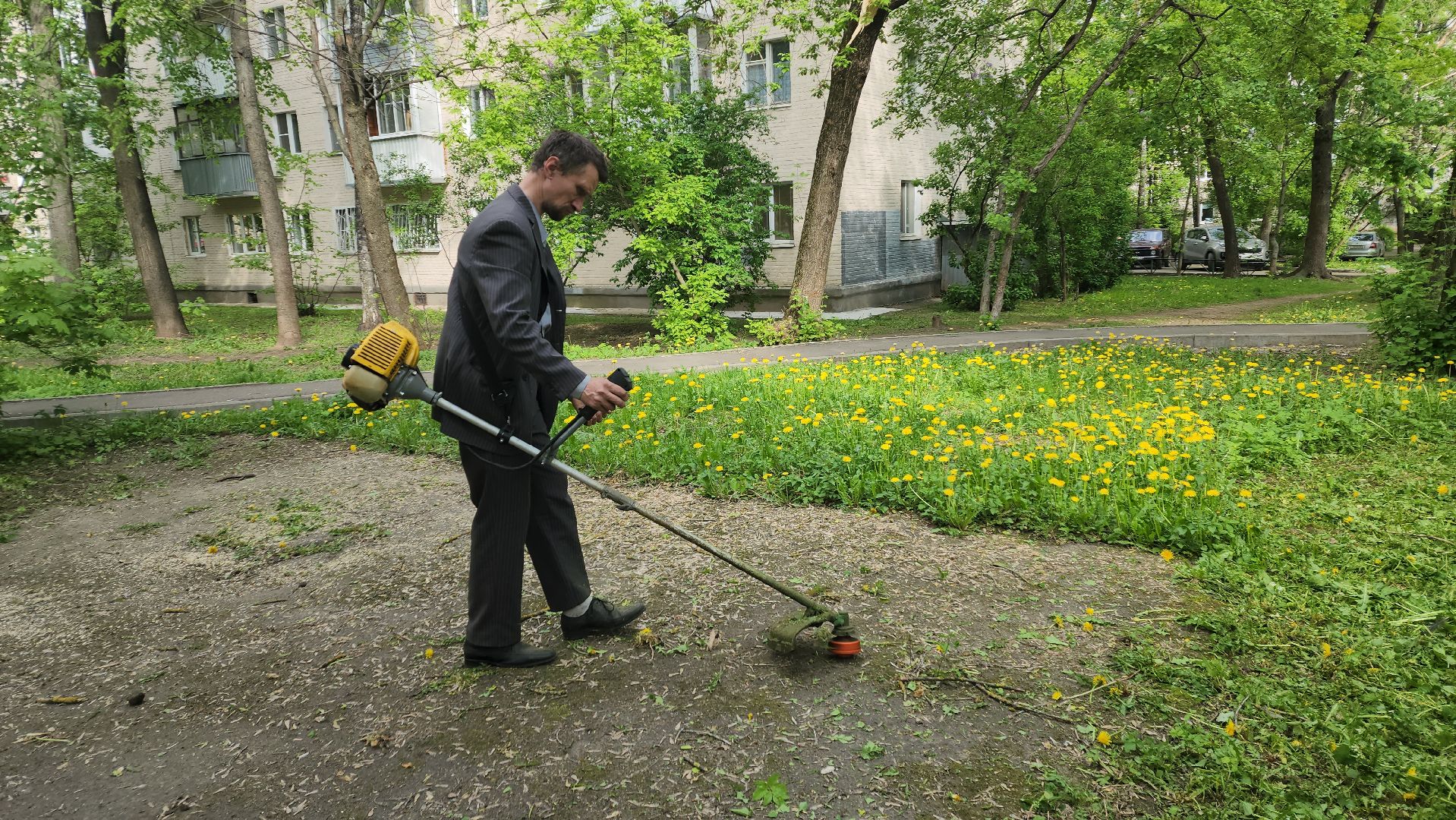 пушкино, покос травы, коммунальная служба, дворовые территории, газон, уборка мусора,