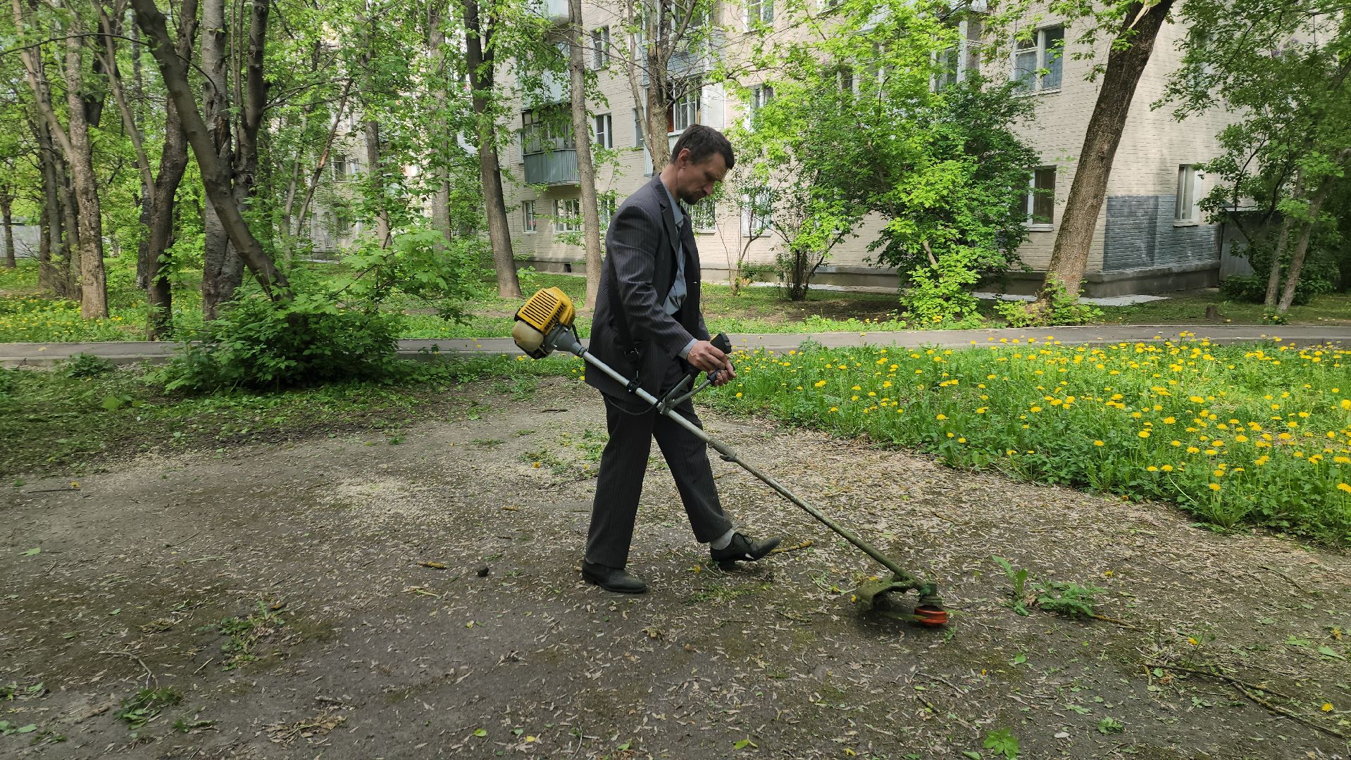 пушкино, покос травы, коммунальная служба, дворовые территории, газон, уборка мусора,