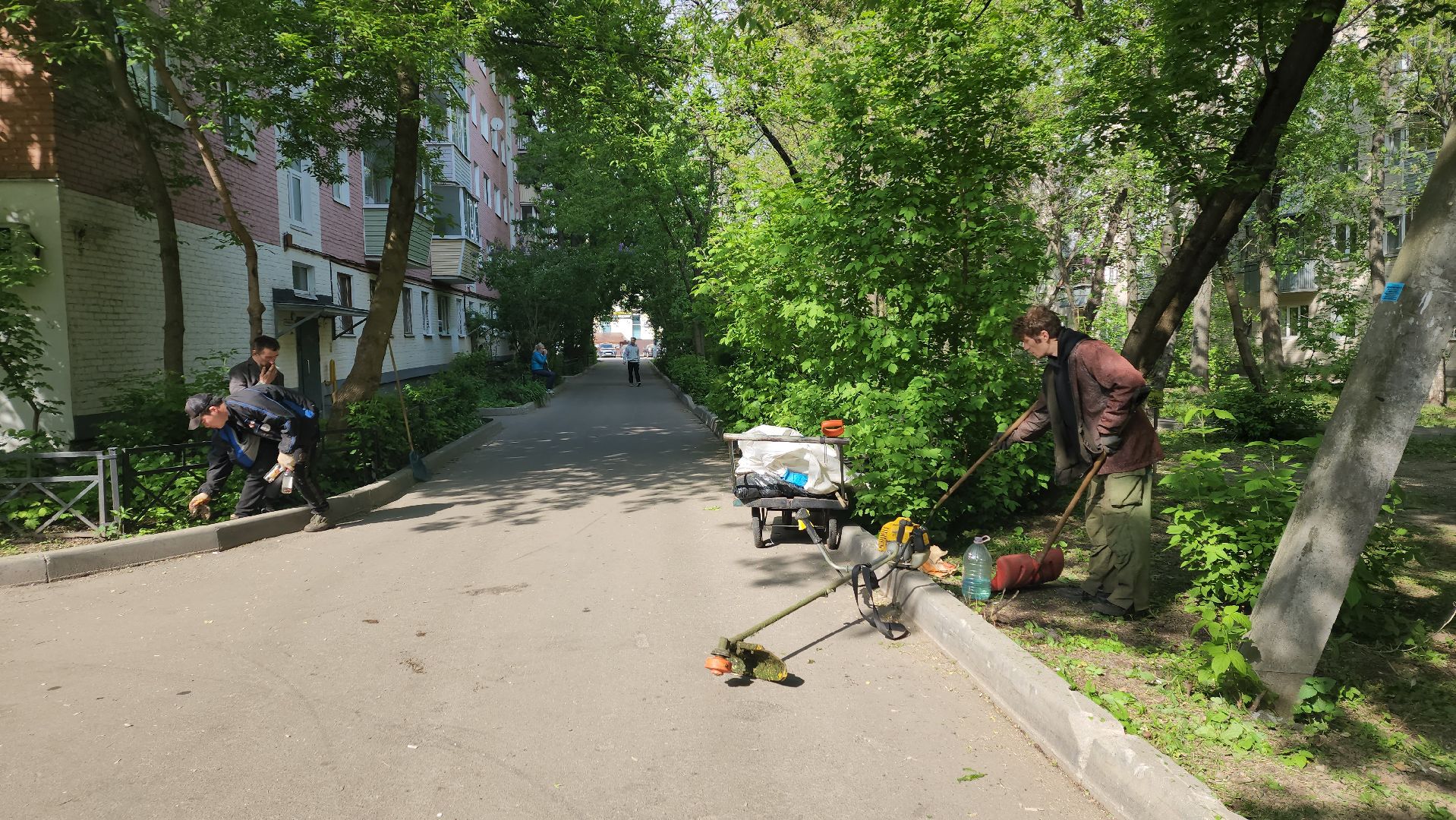 пушкино, покос травы, коммунальная служба, дворовые территории, газон, уборка мусора,