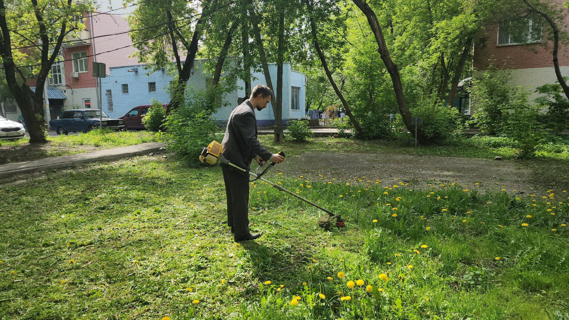 пушкино, покос травы, коммунальная служба, дворовые территории, газон, уборка мусора,