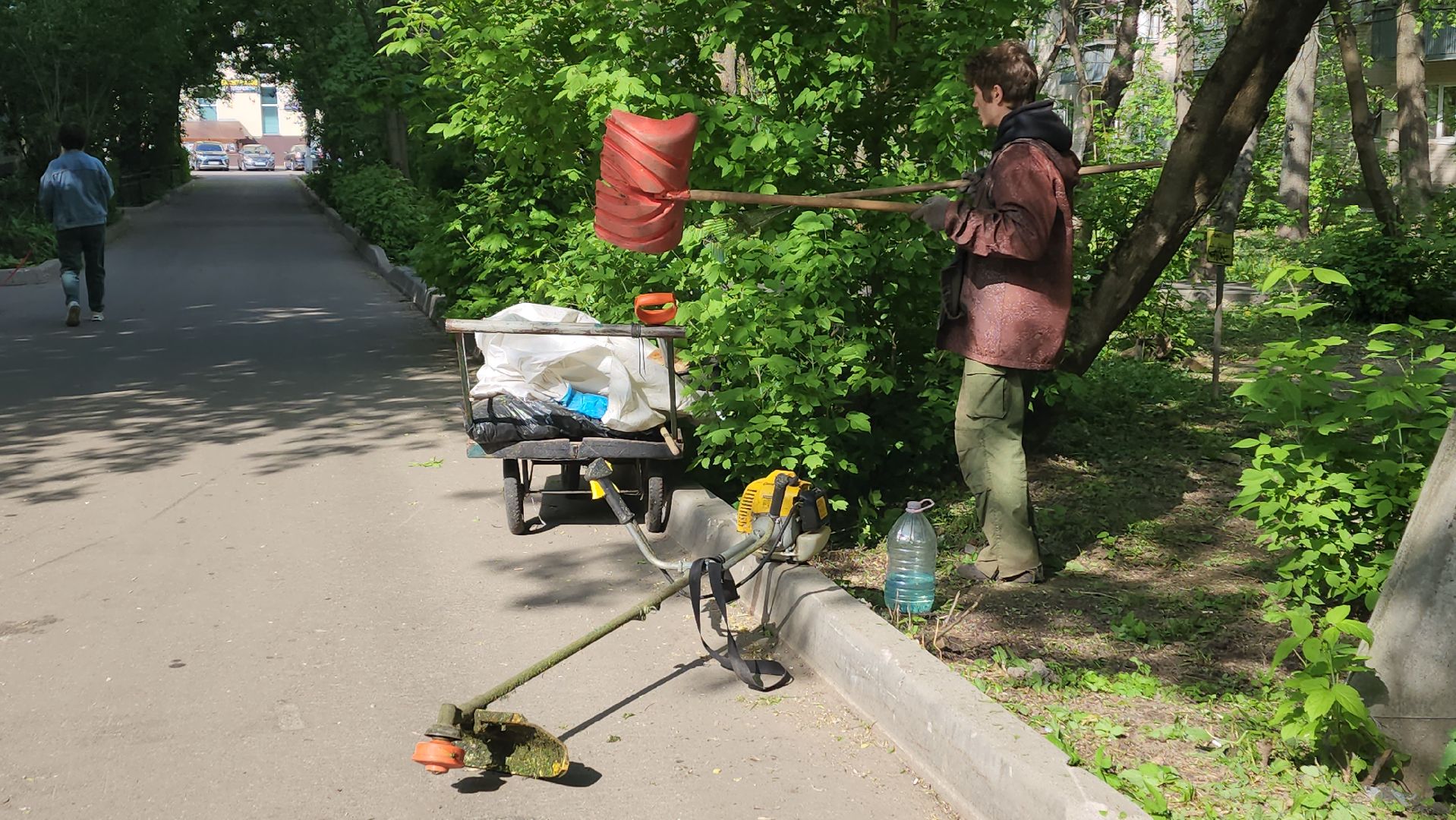 пушкино, покос травы, коммунальная служба, дворовые территории, газон, уборка мусора,