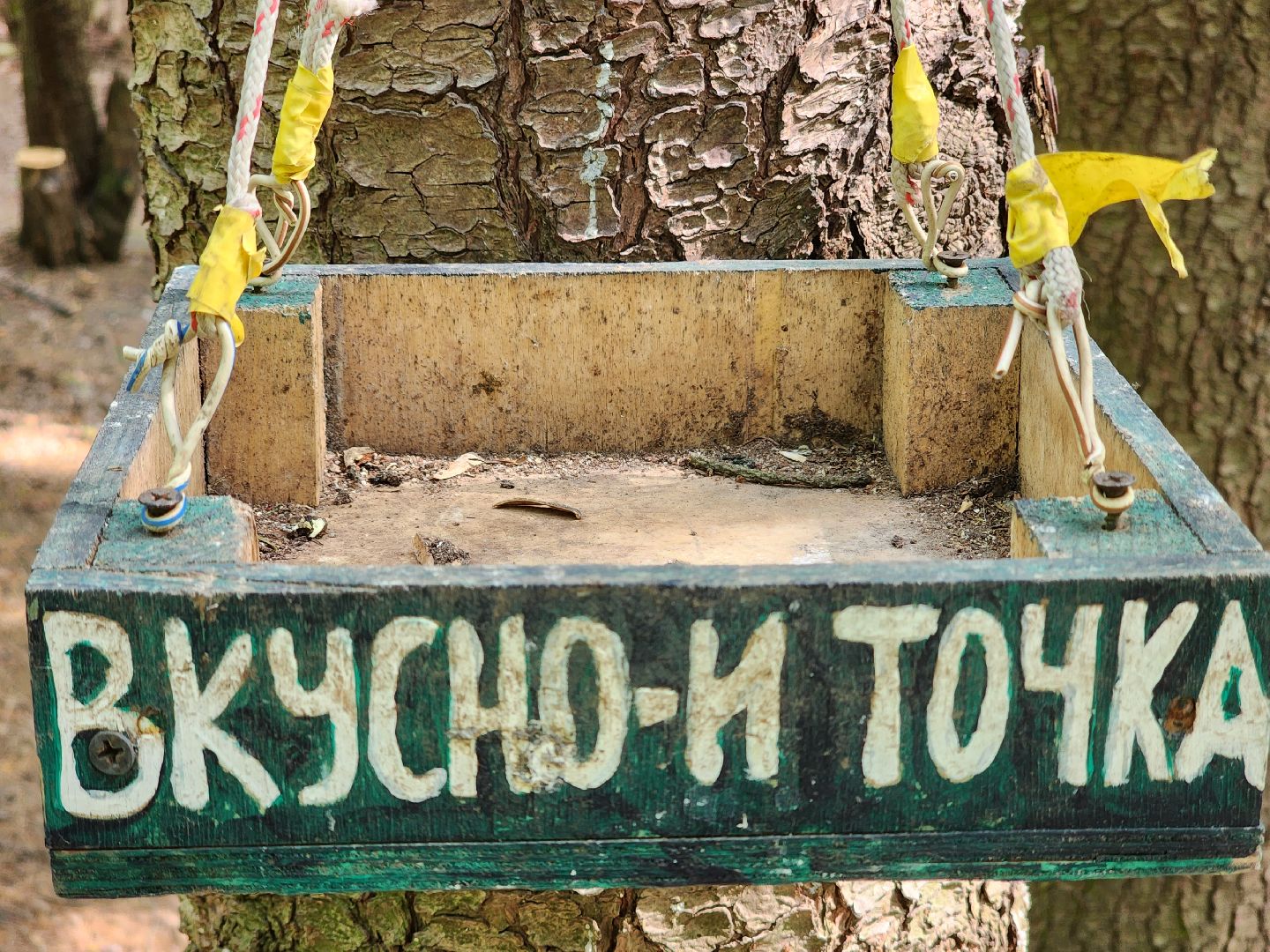 пушкино, кормушки для белок в пушкино, вниилм, дендропарк в пушкино,