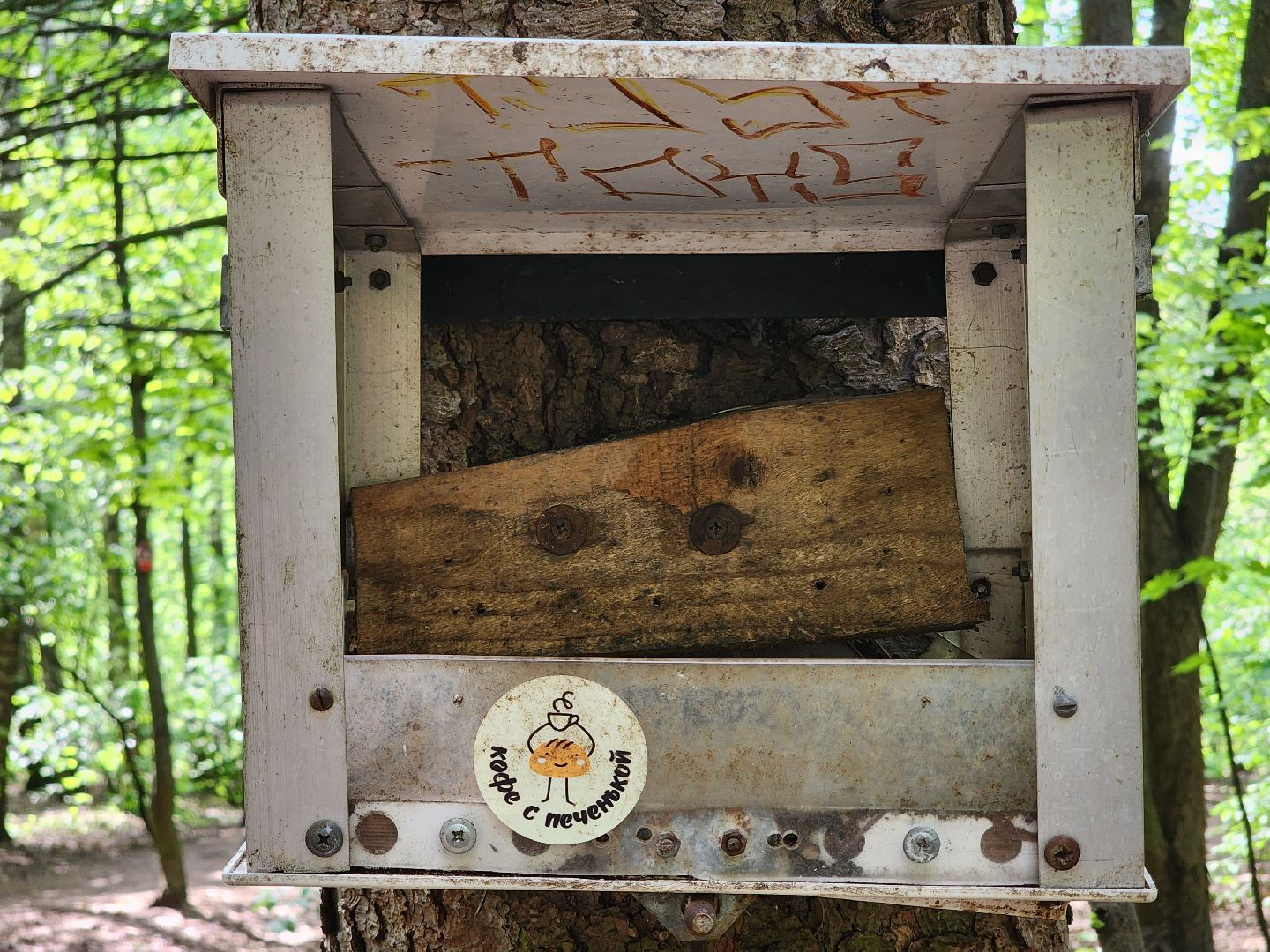 пушкино, кормушки для белок в пушкино, вниилм, дендропарк в пушкино,