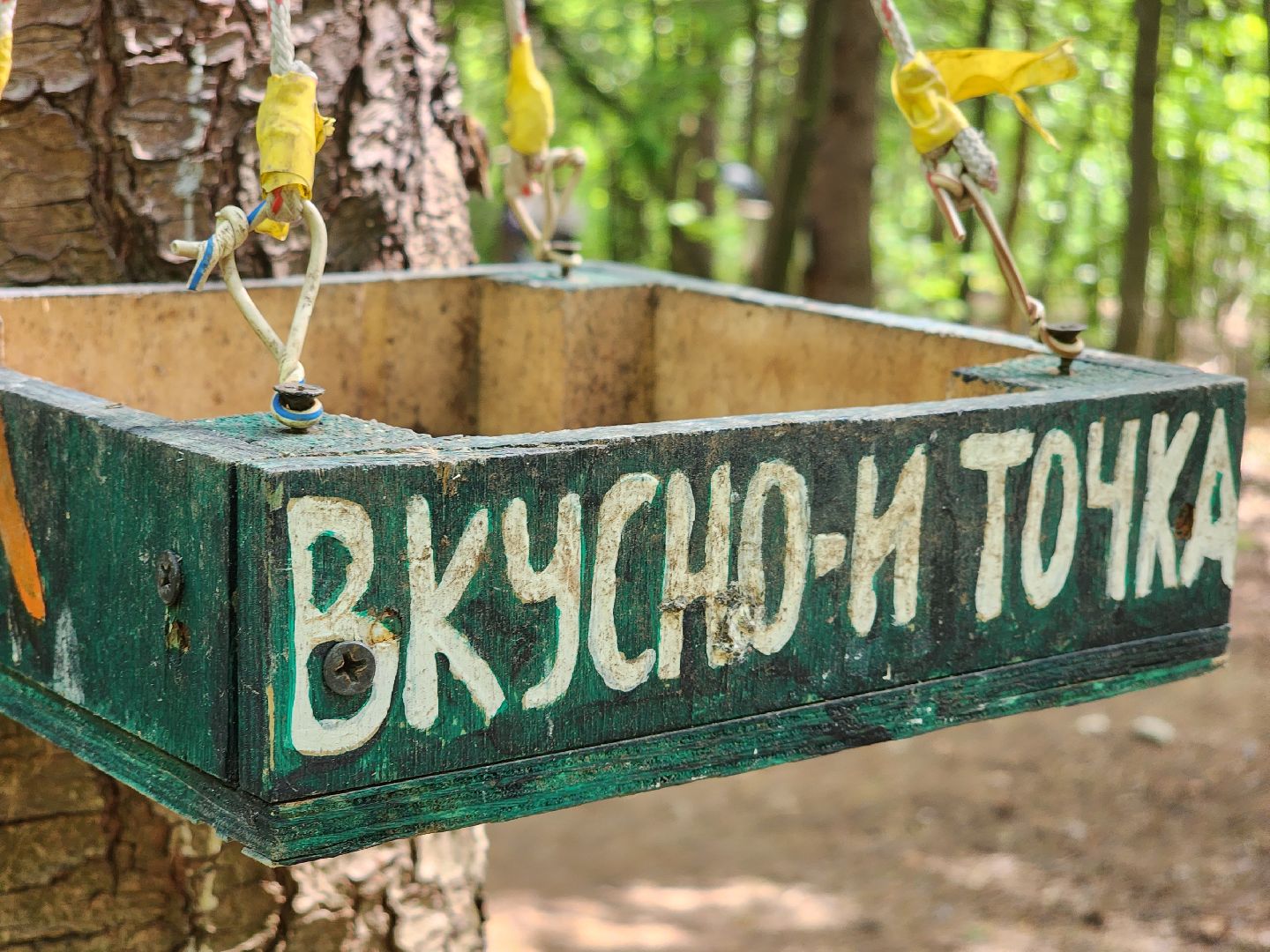 пушкино, кормушки для белок в пушкино, вниилм, дендропарк в пушкино,