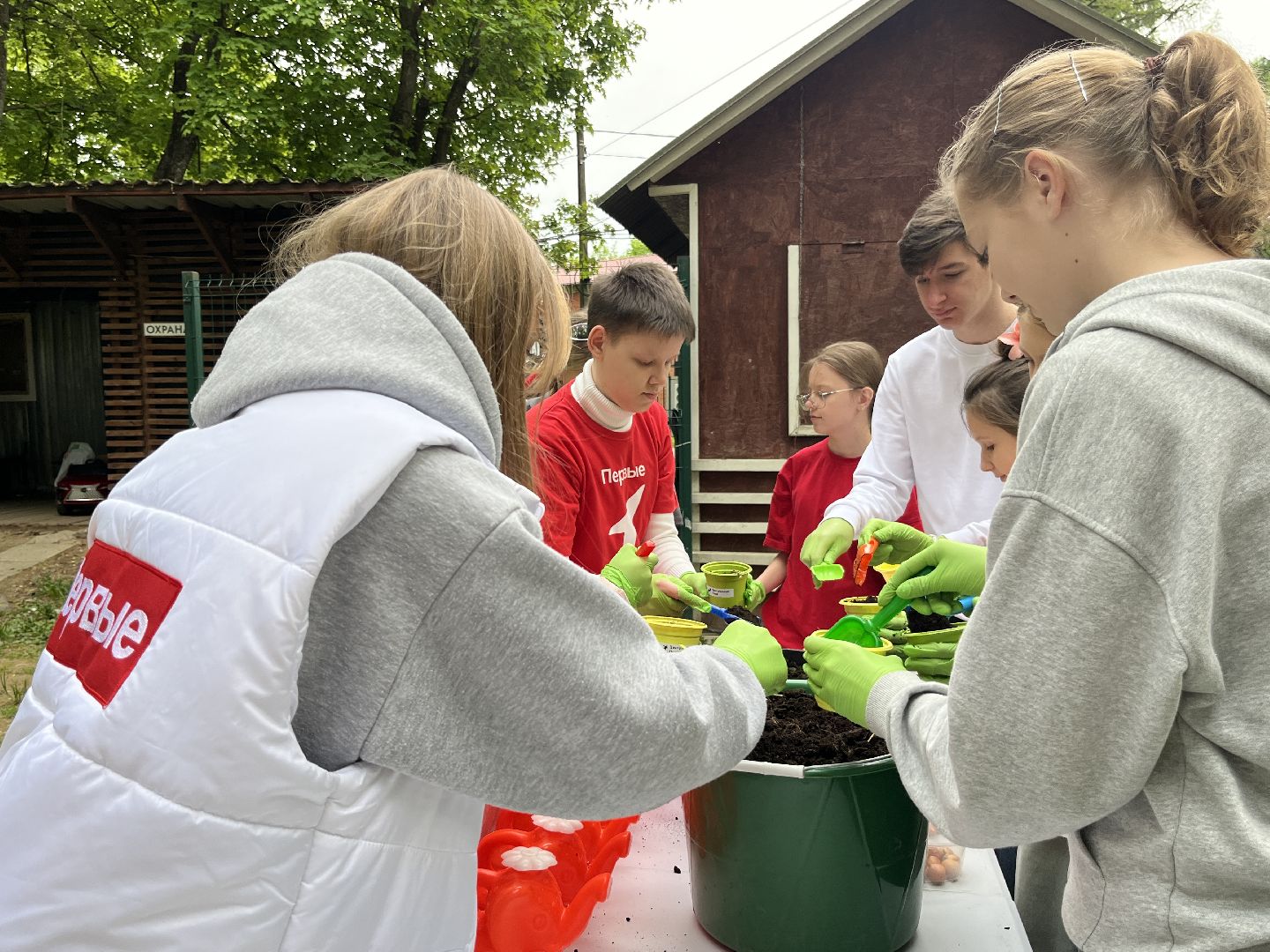 наро-фоминск, наро-фоминский городской округ, общественный огород, центральный парк наро-фоминска,