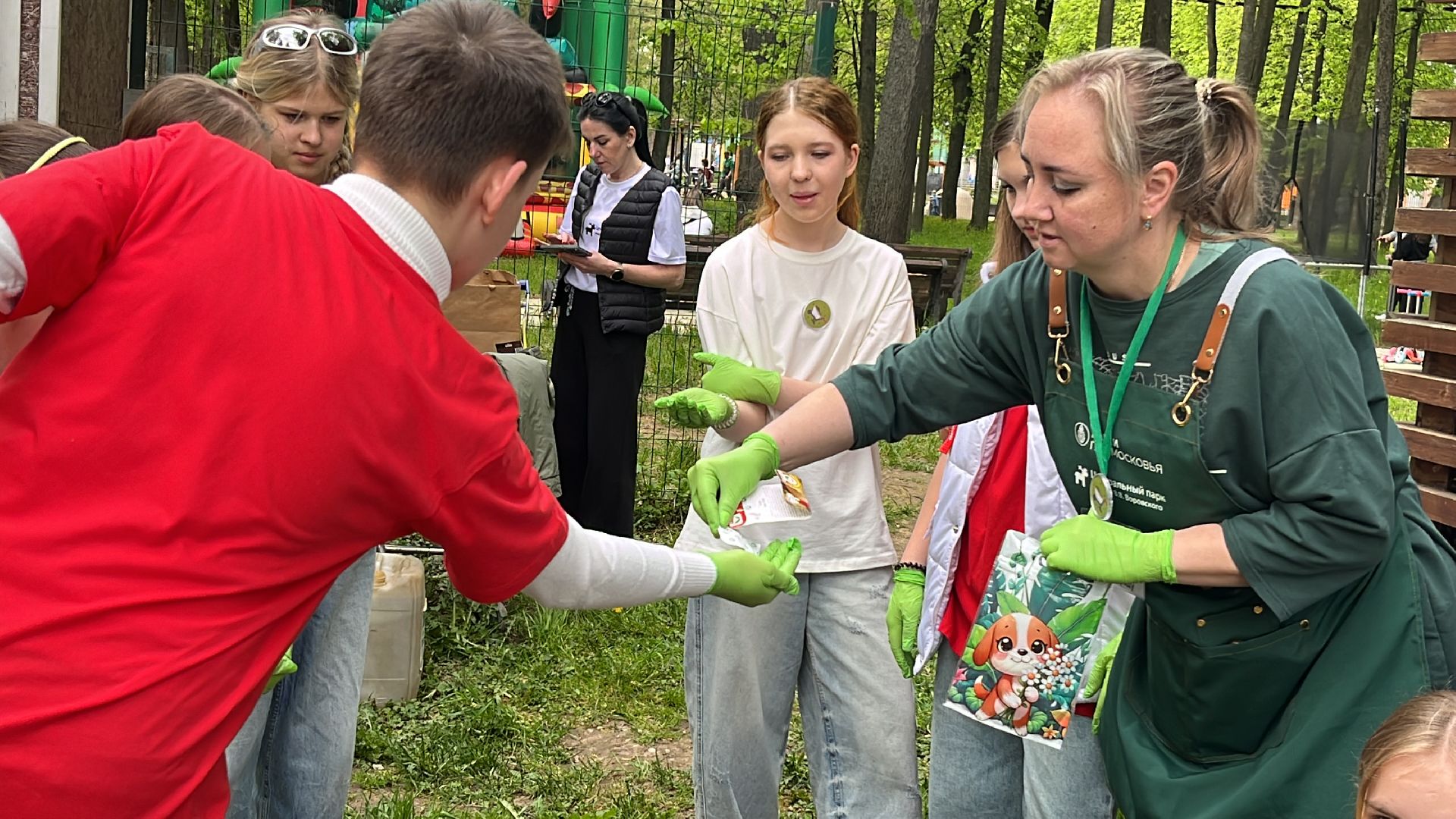 наро-фоминск, наро-фоминский городской округ, общественный огород, центральный парк наро-фоминска,