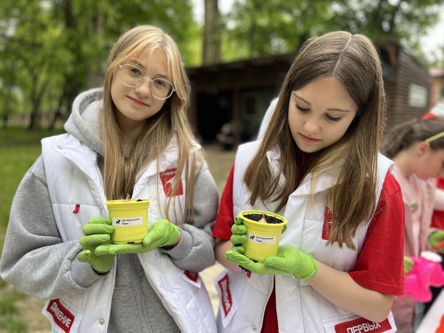 наро-фоминск, наро-фоминский городской округ, общественный огород, центральный парк наро-фоминска,