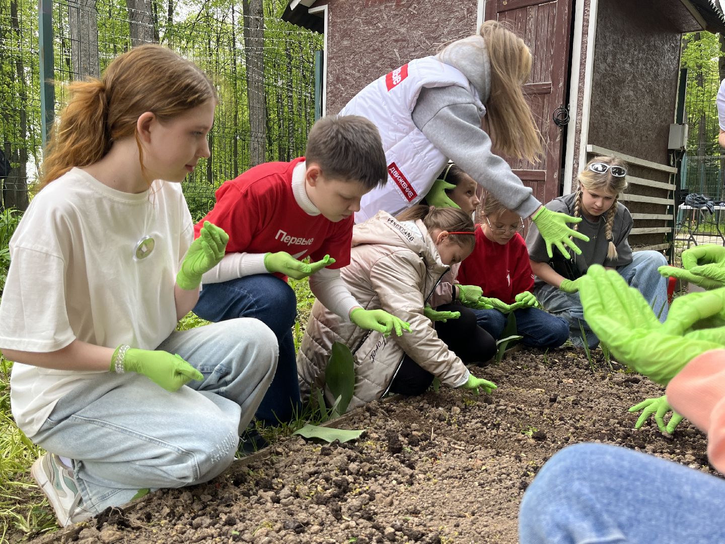 наро-фоминск, наро-фоминский городской округ, общественный огород, центральный парк наро-фоминска,