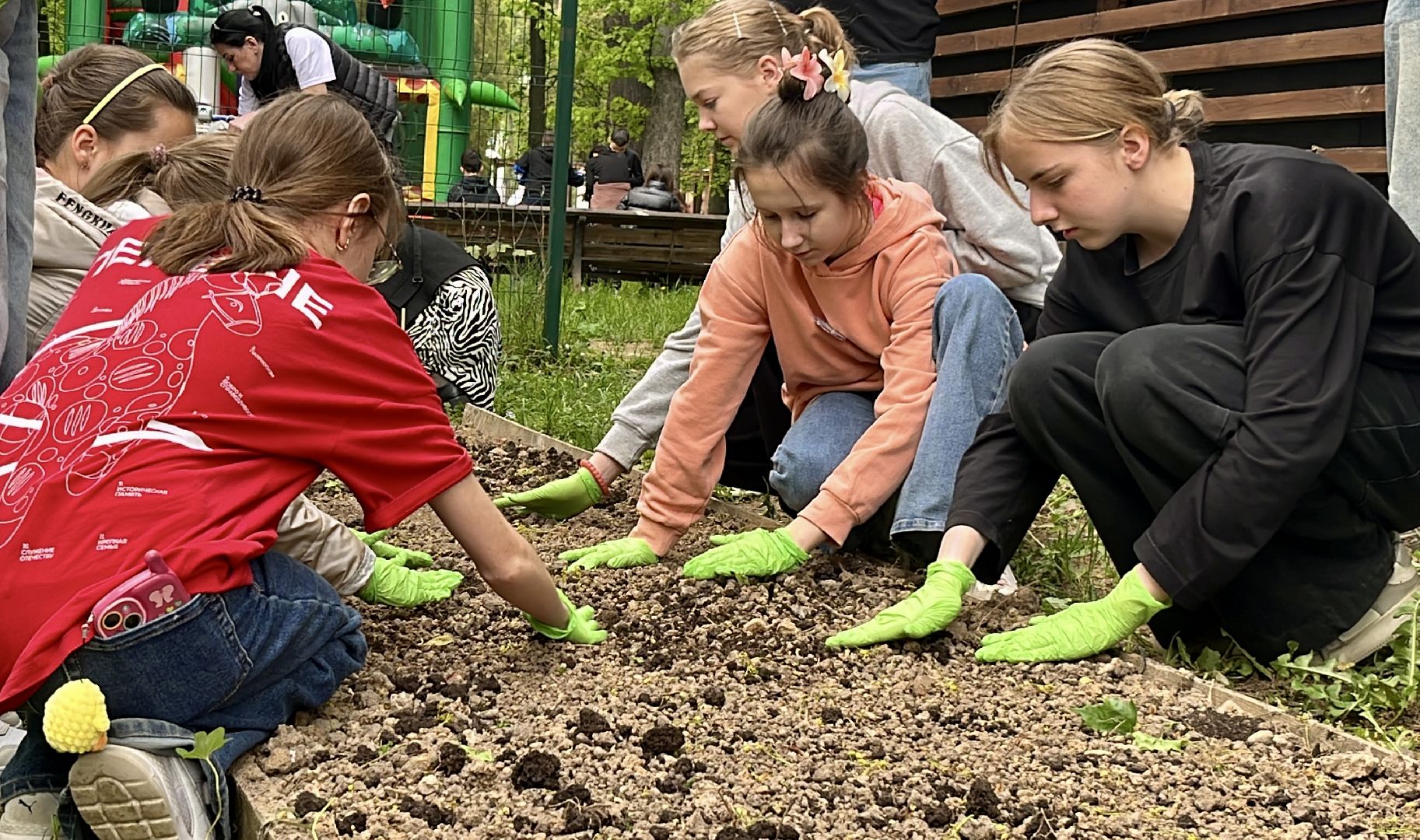 наро-фоминск, наро-фоминский городской округ, общественный огород, центральный парк наро-фоминска,