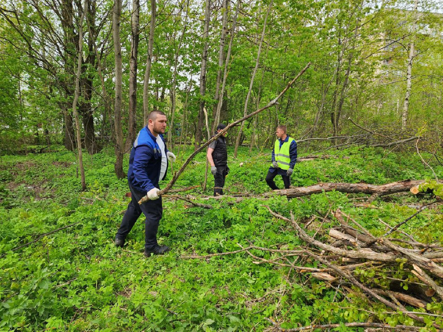 солнечногорск, субботник, уборка, жители, деревья,