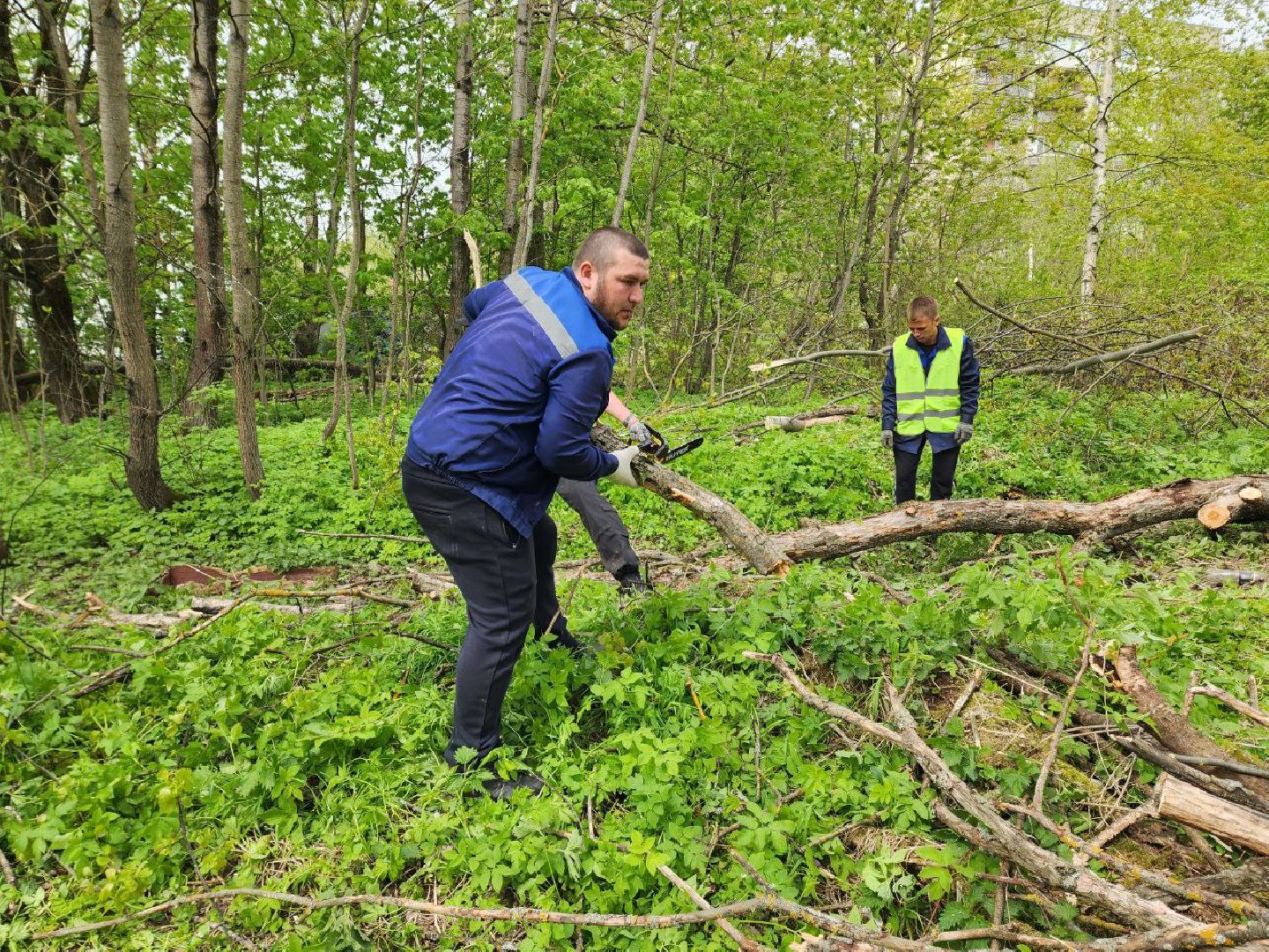 солнечногорск, субботник, уборка, жители, деревья,