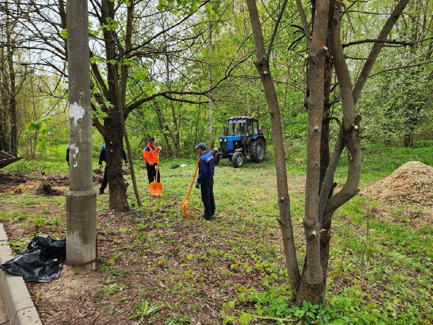 солнечногорск, субботник, уборка, жители, деревья,