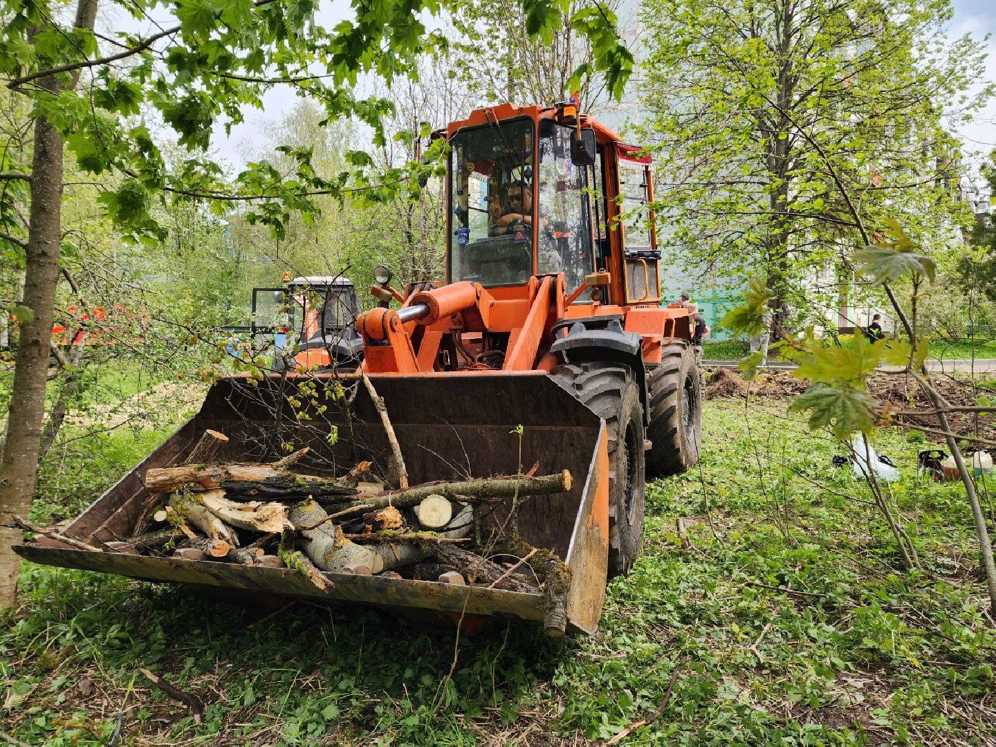 солнечногорск, субботник, уборка, жители, деревья,