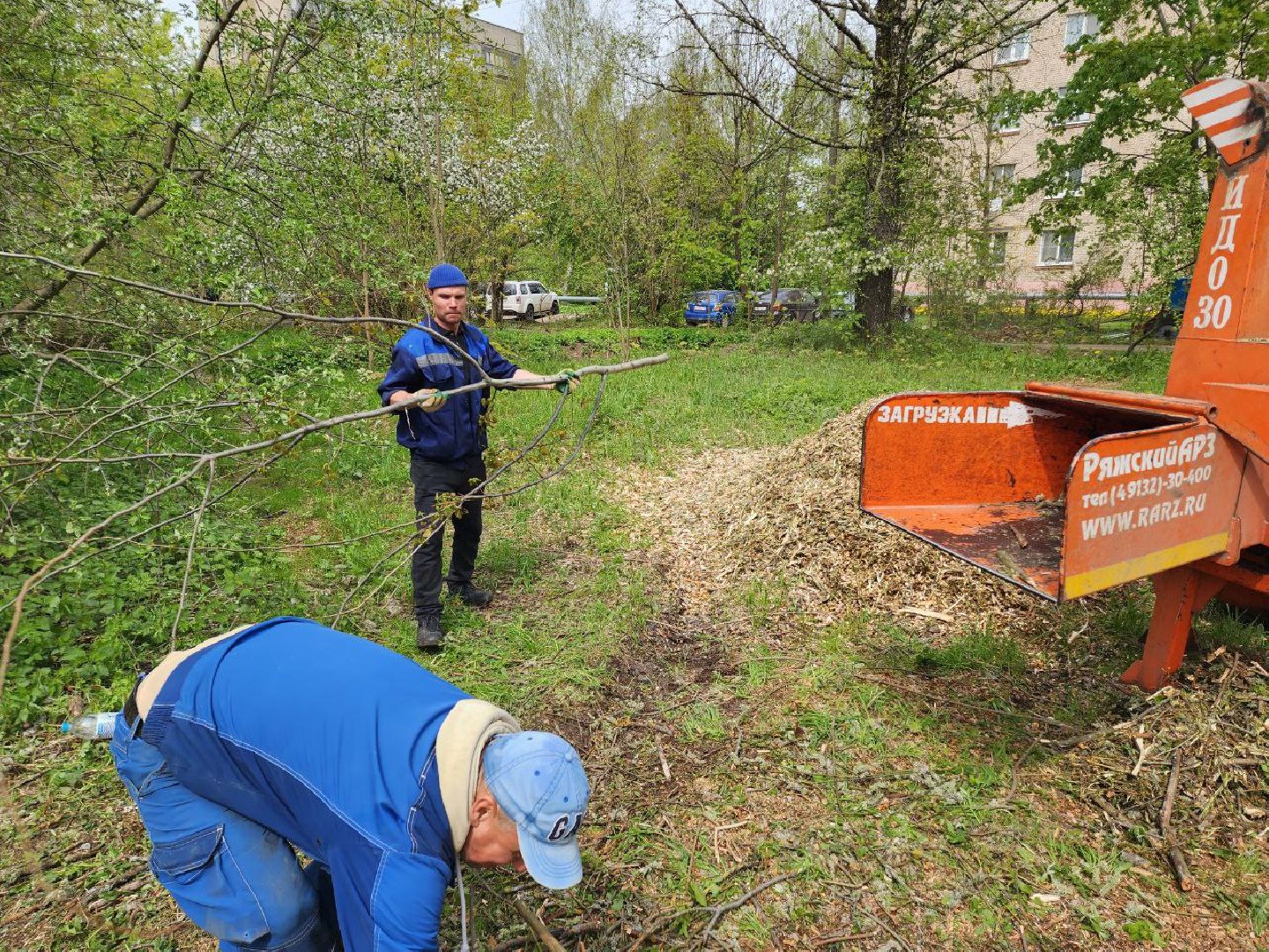 солнечногорск, субботник, уборка, жители, деревья,