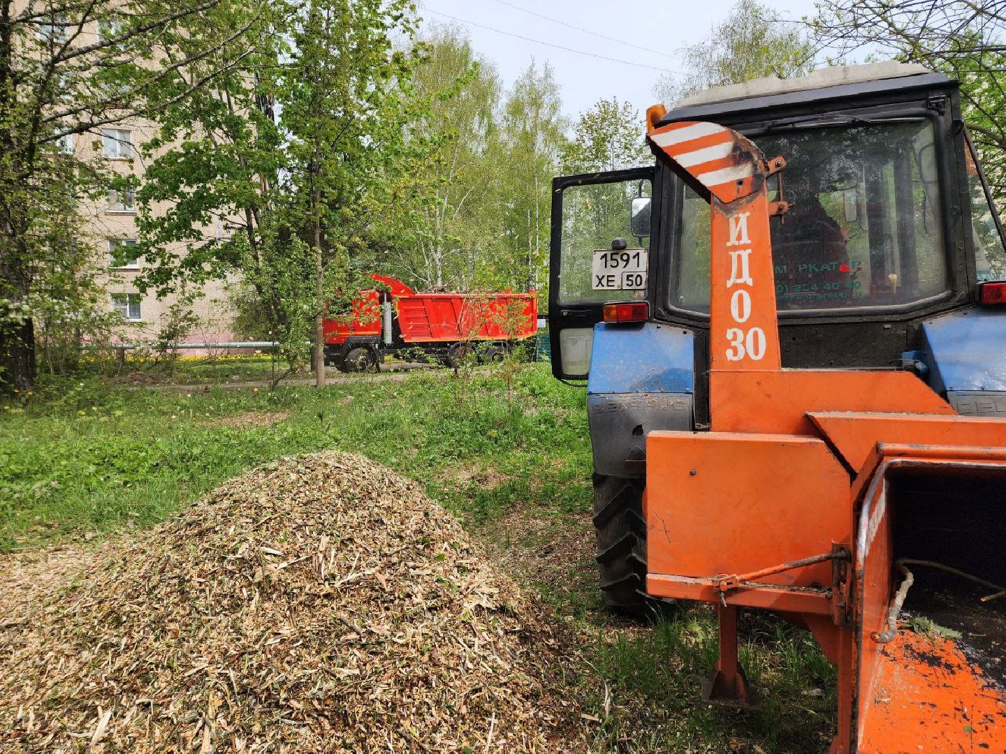 солнечногорск, субботник, уборка, жители, деревья,