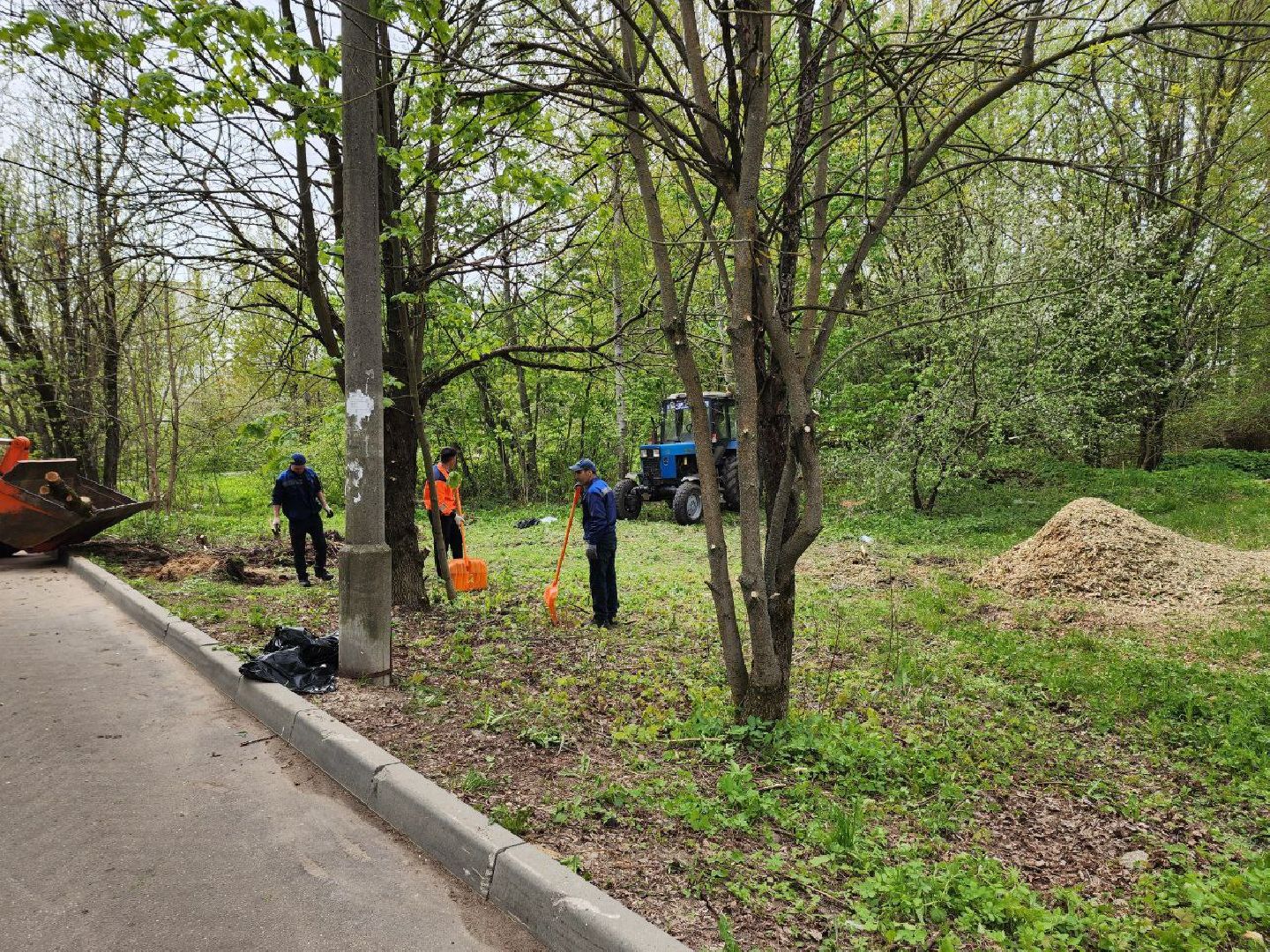 солнечногорск, субботник, уборка, жители, деревья,