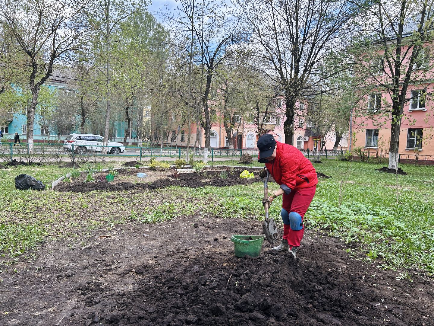 Благоустройство, палисадник, жители, фрязино, цветы