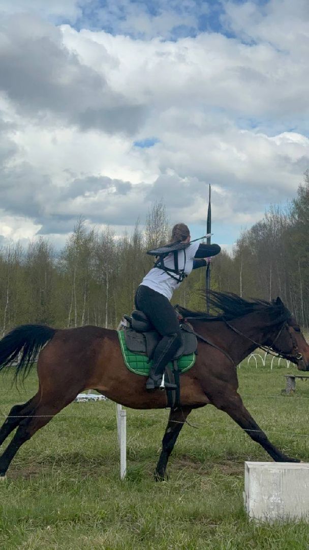 шаховская, лучники, кони, стрельба из лука,