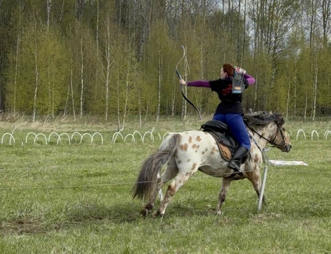 шаховская, лучники, кони, стрельба из лука,