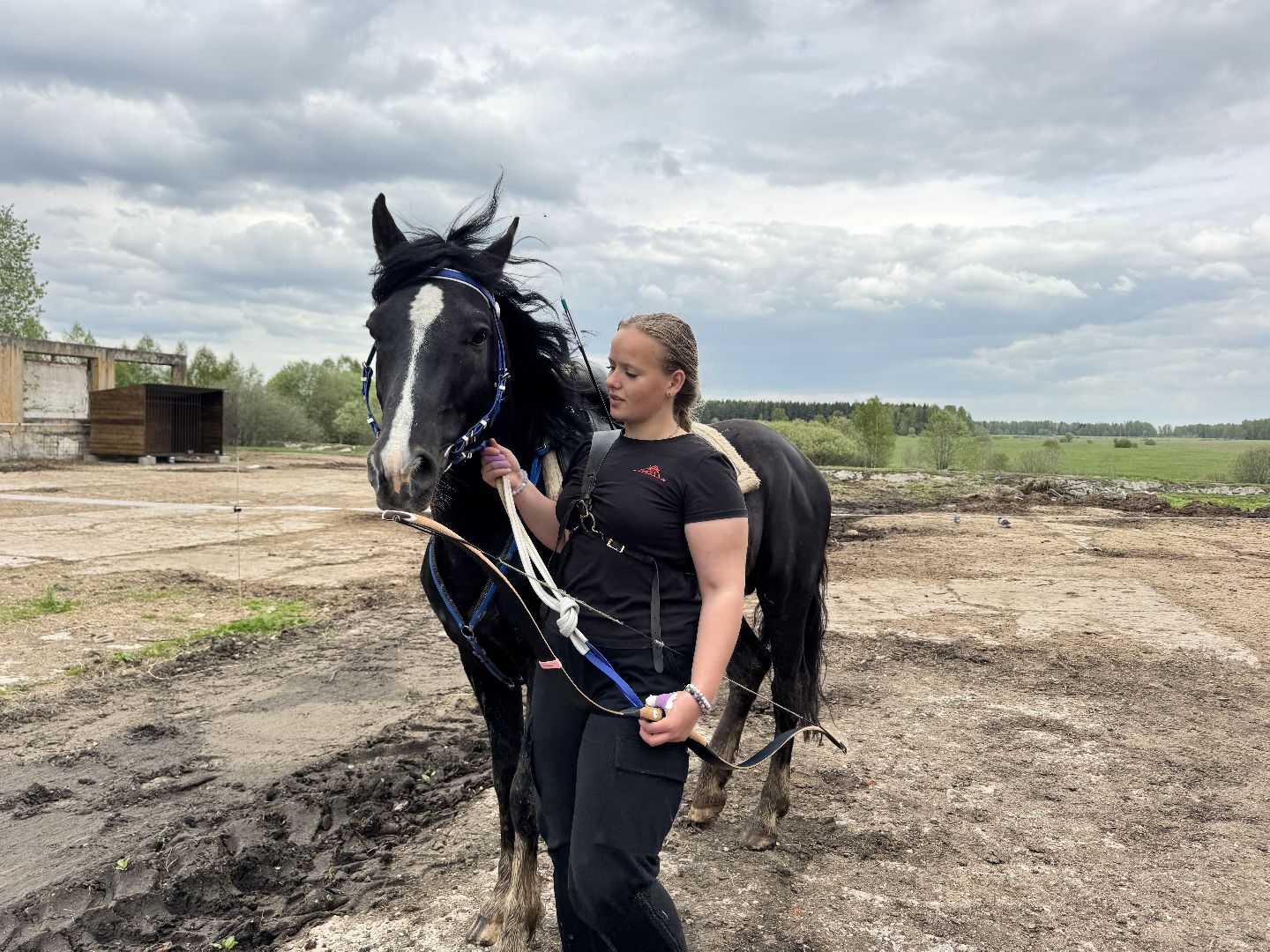 шаховская, лучники, кони, стрельба из лука,