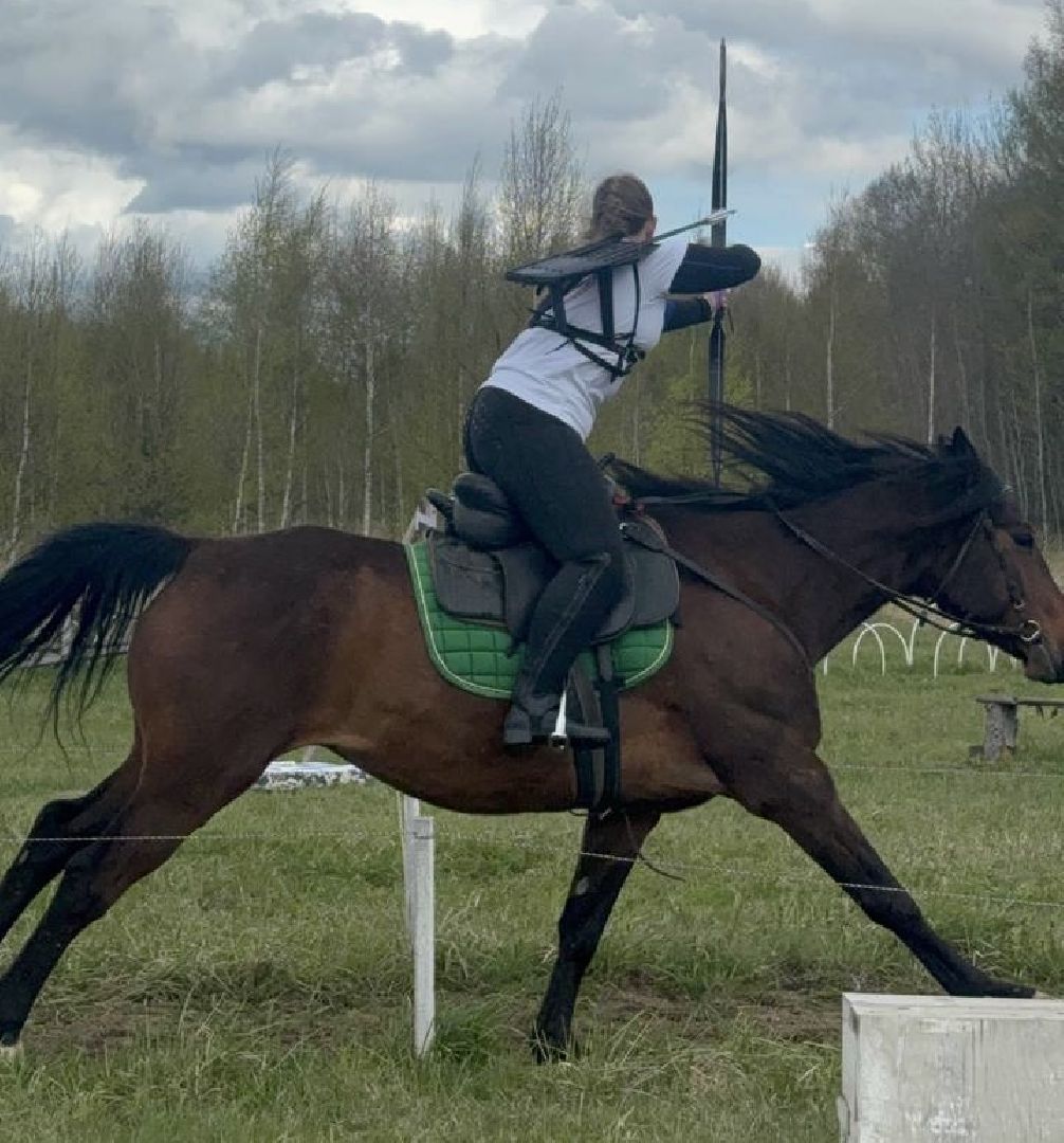 шаховская, лучники, кони, стрельба из лука,