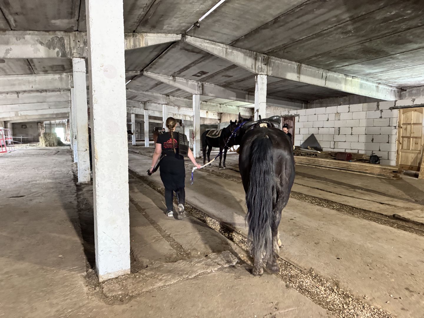 шаховская, лучники, кони, стрельба из лука,