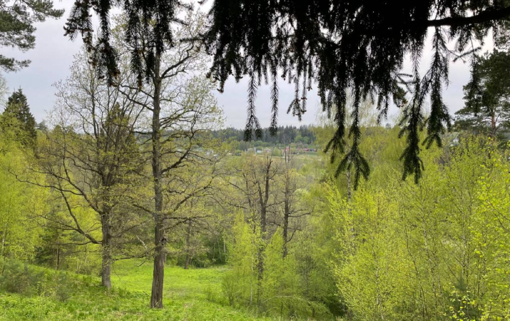 Туризм, Экология, Эко-проект, Путешествия, Краеведение ,