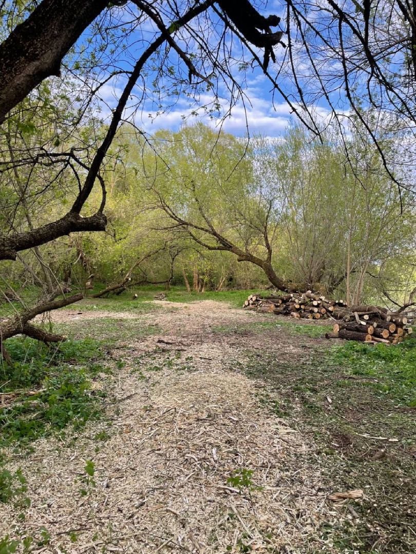 Туризм, Экология, Эко-проект, Путешествия, Краеведение ,