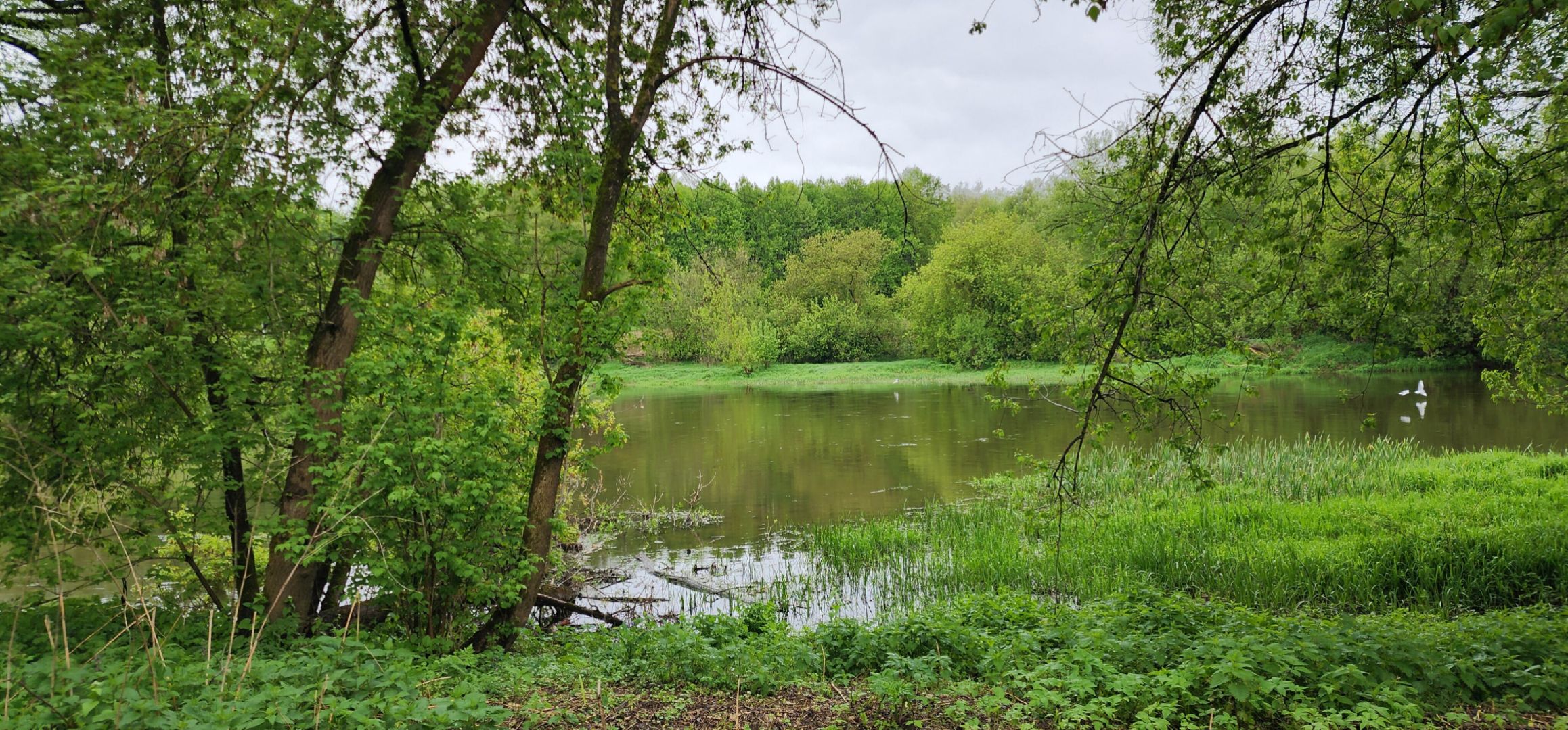 Туризм, Экология, Эко-проект, Путешествия, Краеведение ,