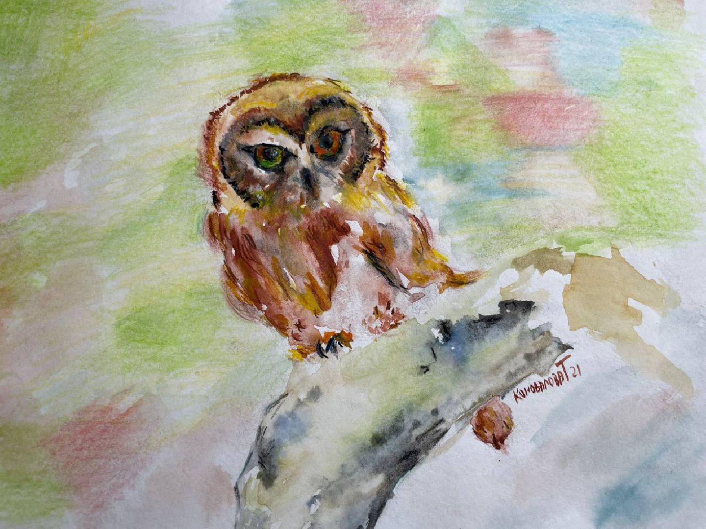 Туризм, Экология, Эко-проект, Путешествия, Краеведение ,