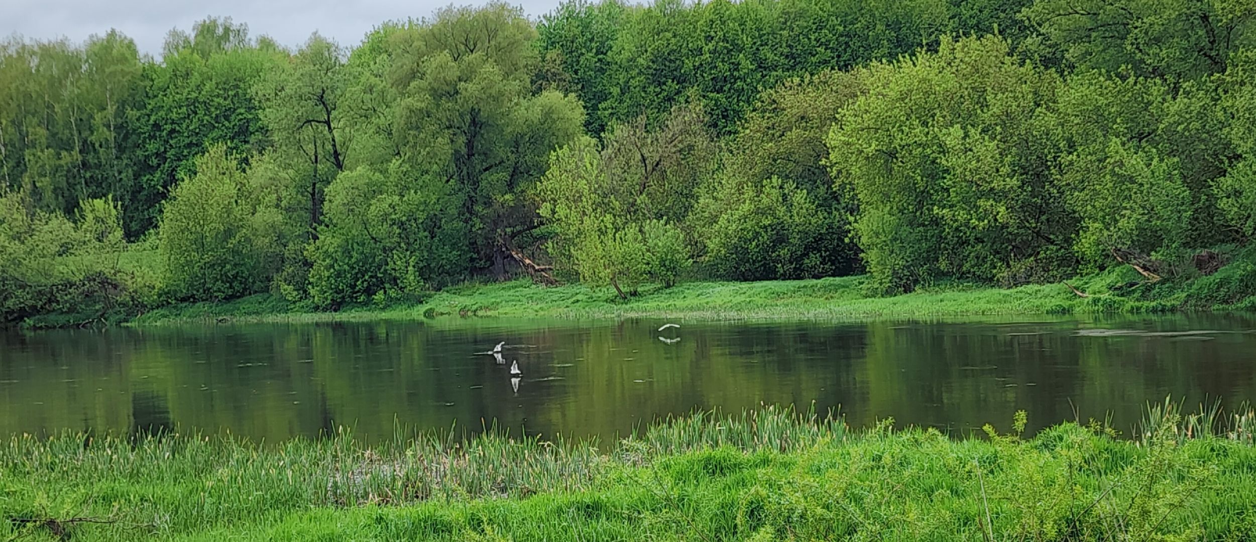 Туризм, Экология, Эко-проект, Путешествия, Краеведение ,