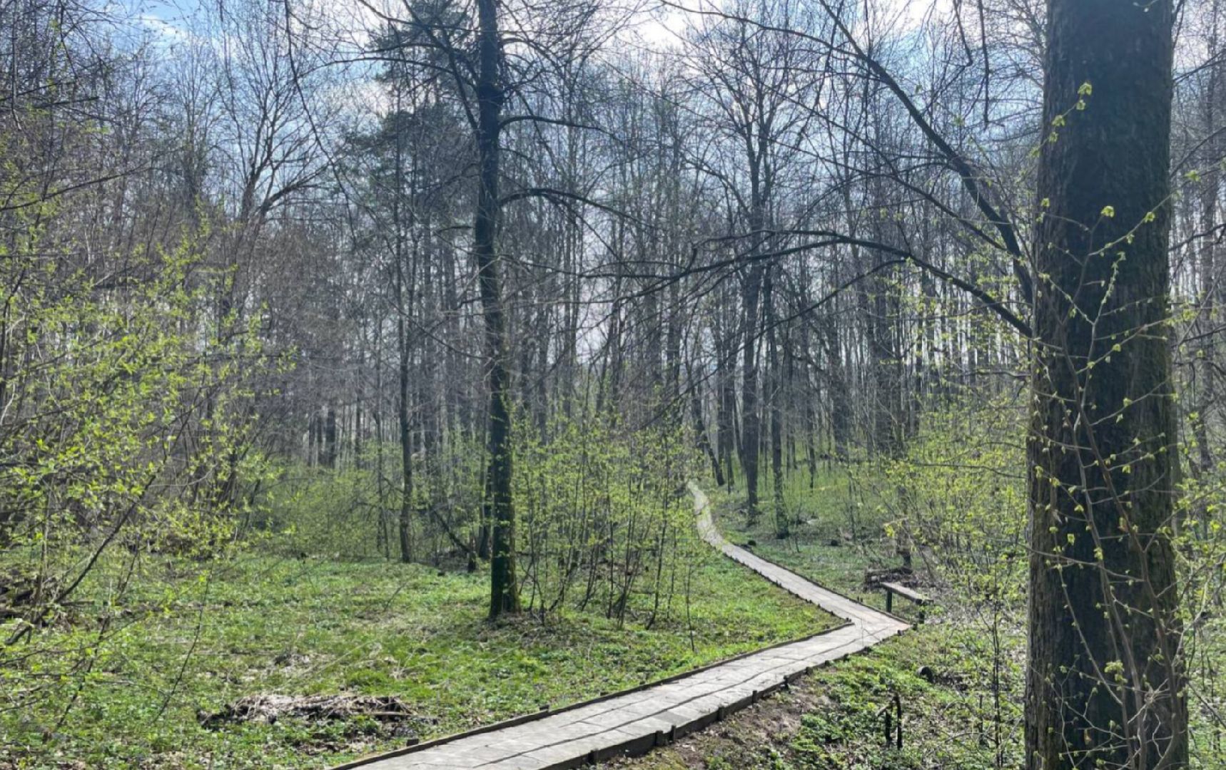 Туризм, Экология, Эко-проект, Путешествия, Краеведение ,