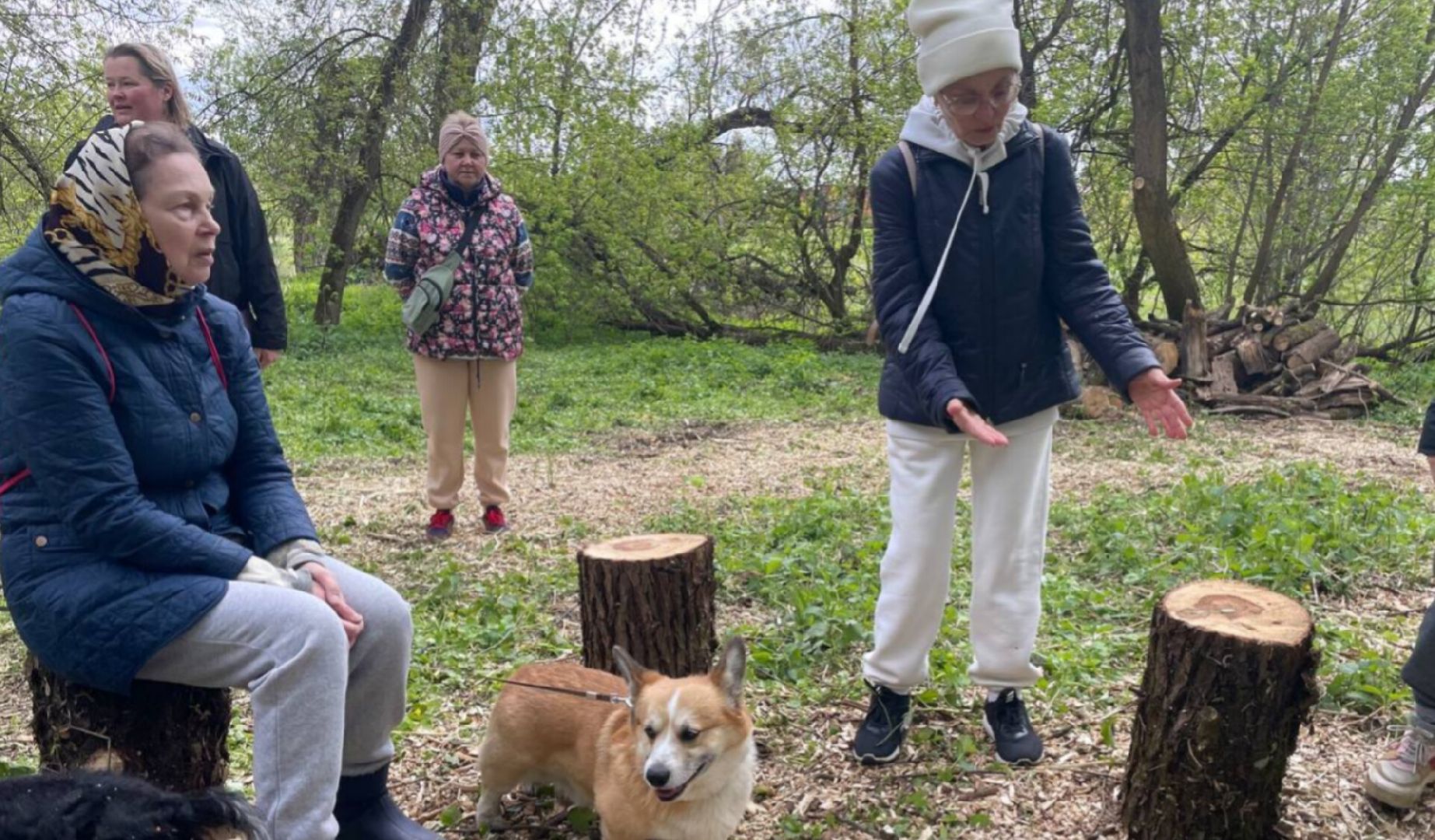 Туризм, Экология, Эко-проект, Путешествия, Краеведение ,