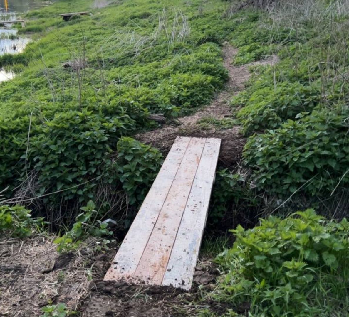 Туризм, Экология, Эко-проект, Путешествия, Краеведение ,