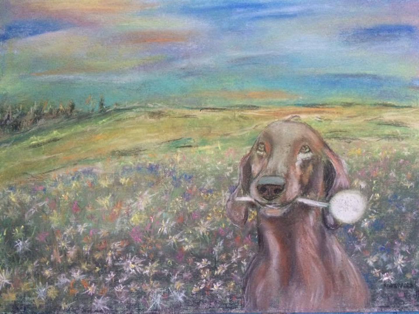 Туризм, Экология, Эко-проект, Путешествия, Краеведение ,