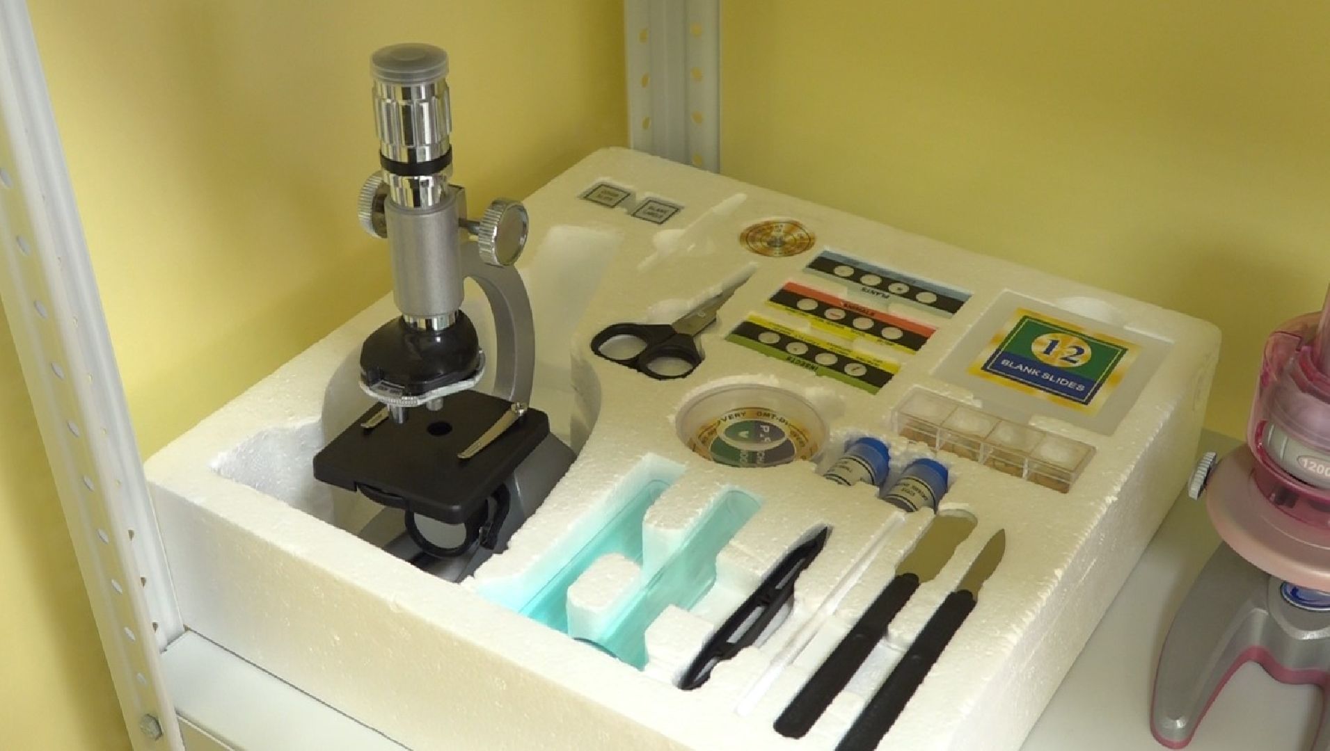 хакатон, дошкольное образование, Домодедово