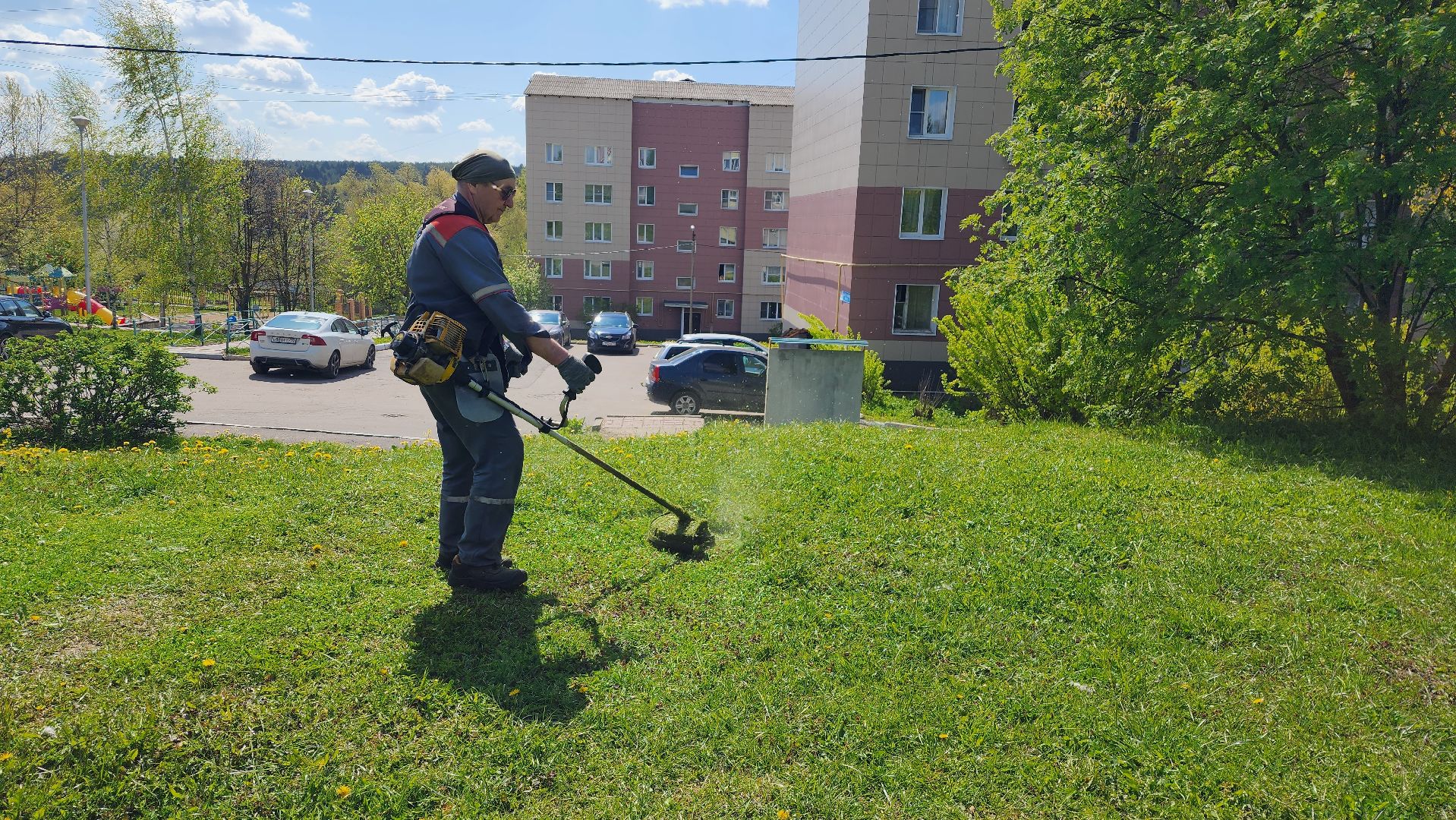 истра, благоустройство, клещи, газон,