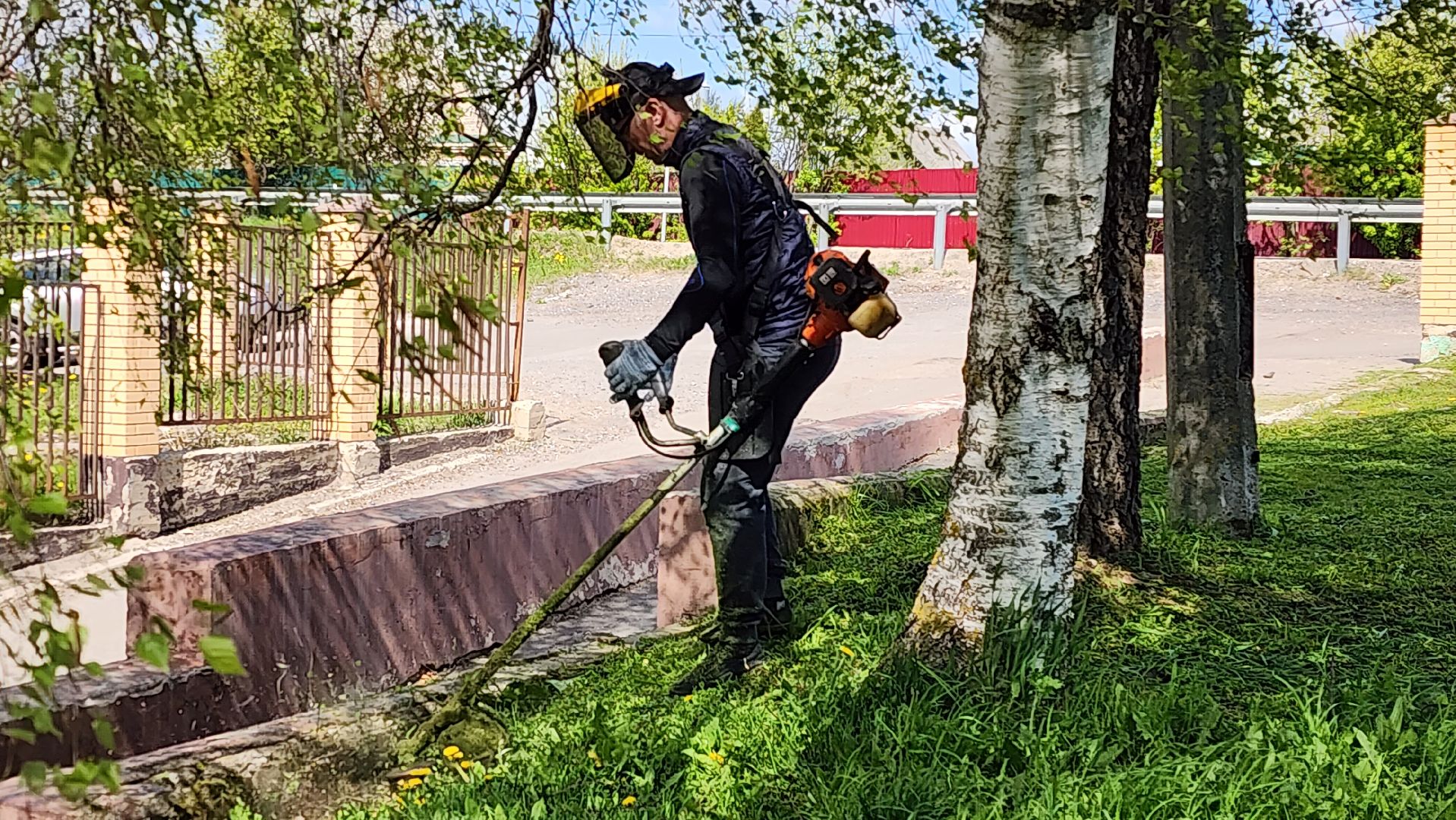 истра, благоустройство, клещи, газон,