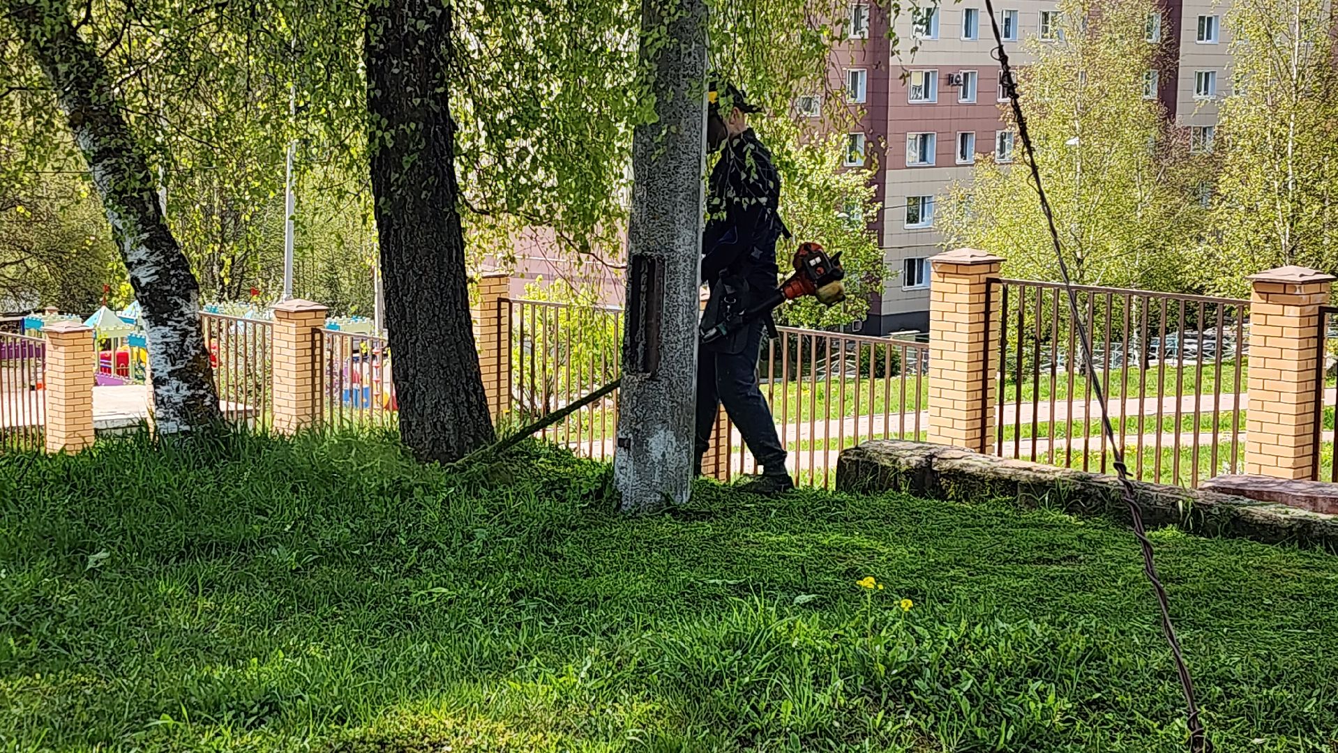 истра, благоустройство, клещи, газон,