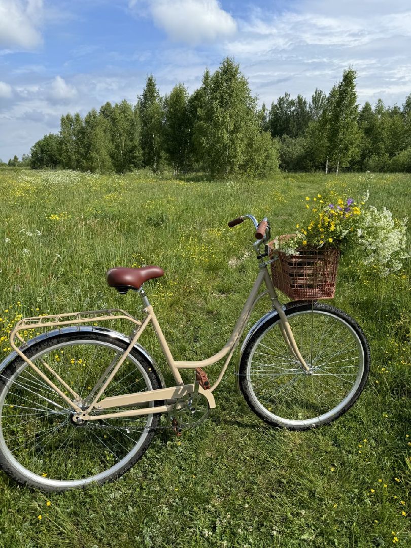 глэмпинг, шатурский округ, туризм в подмосковье,природа шатуры,